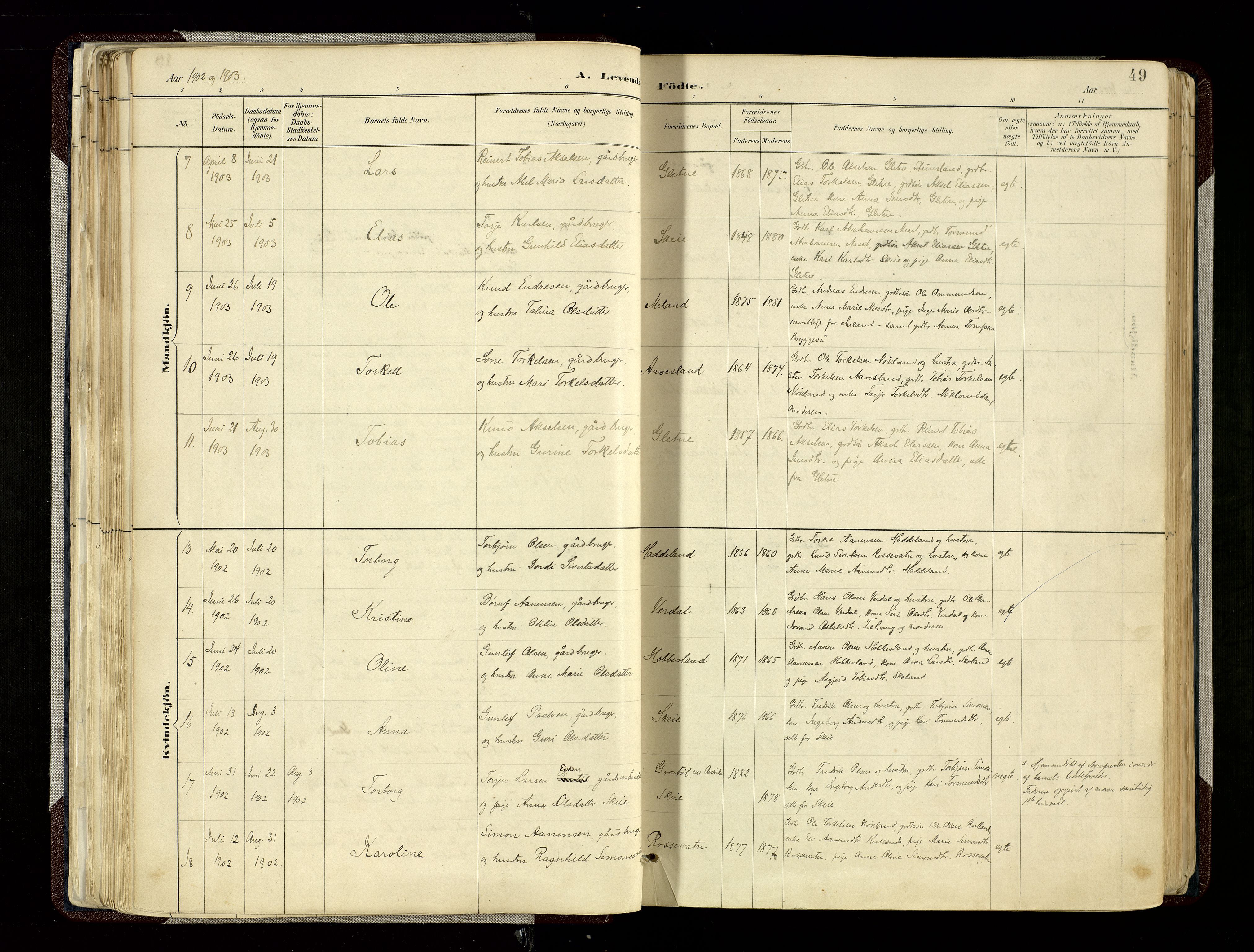 Hægebostad sokneprestkontor, SAK/1111-0024/F/Fa/Fab/L0004: Parish register (official) no. A 4, 1887-1929, p. 49