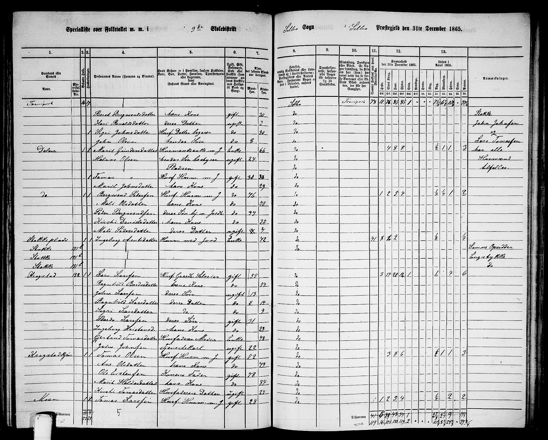 RA, 1865 census for Selbu, 1865, p. 160