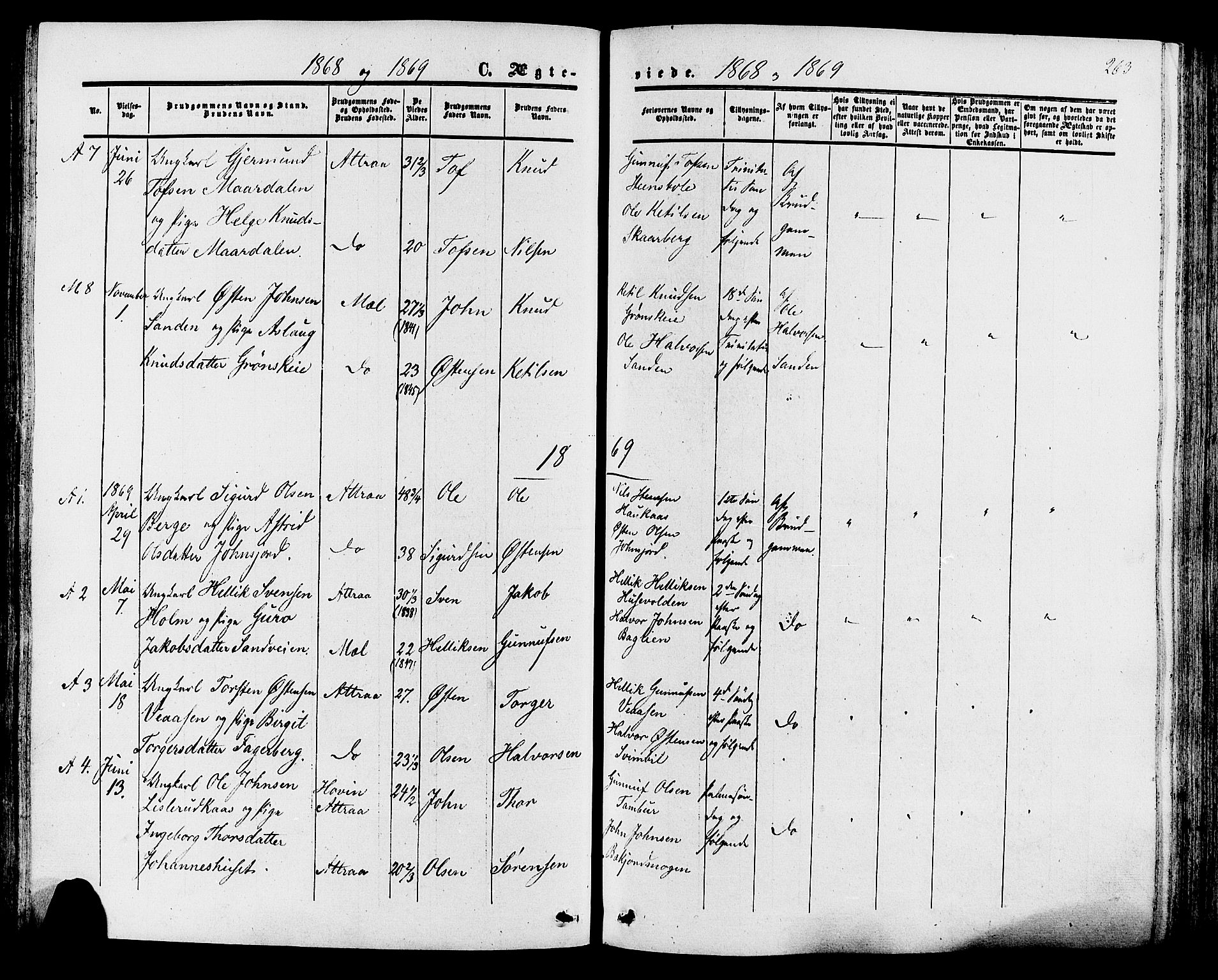 Tinn kirkebøker, AV/SAKO-A-308/F/Fa/L0006: Parish register (official) no. I 6, 1857-1878, p. 263