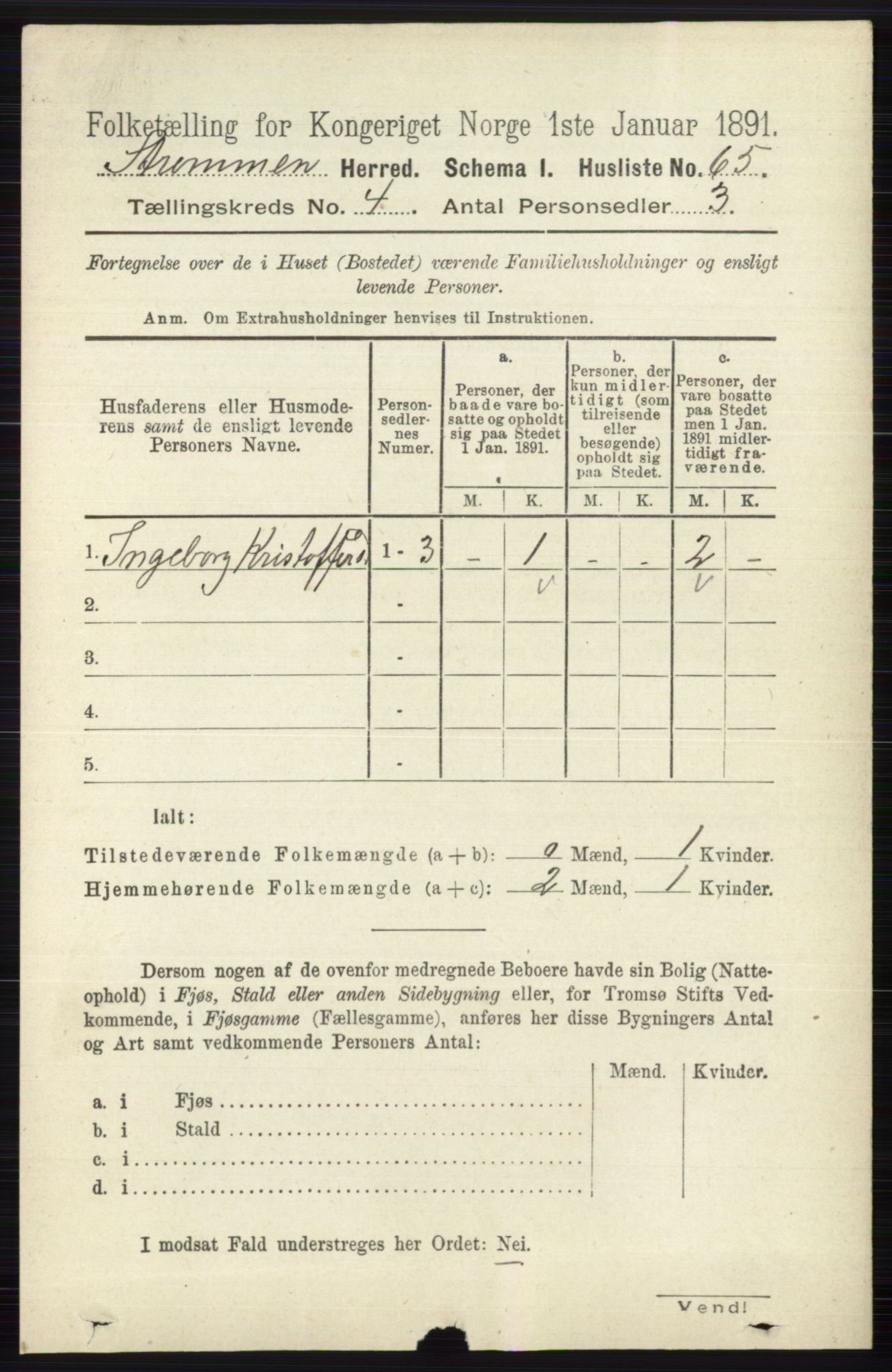 RA, 1891 census for 0711 Strømm, 1891, p. 1575