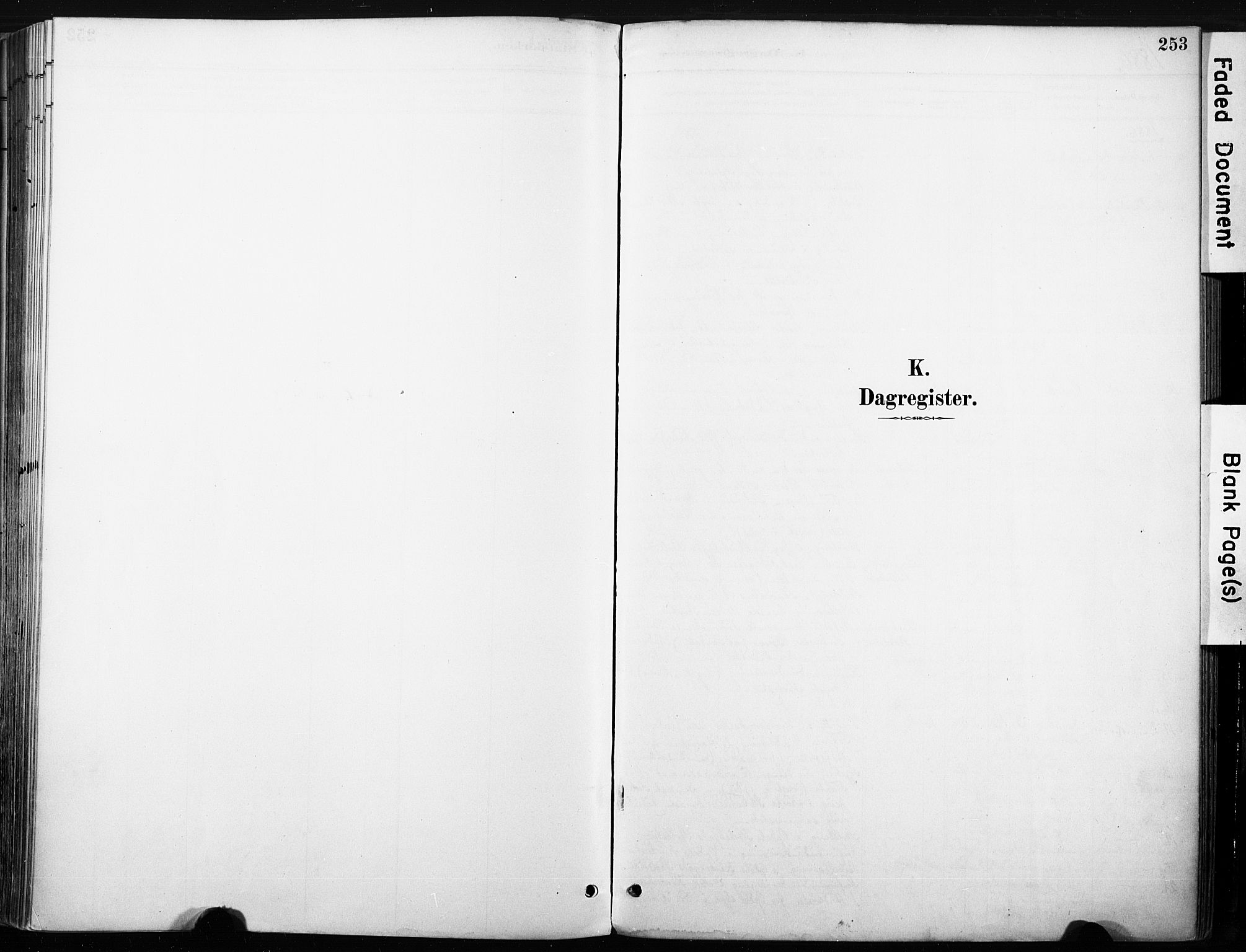 Nore kirkebøker, SAKO/A-238/F/Fb/L0002: Parish register (official) no. II 2, 1886-1906, p. 253