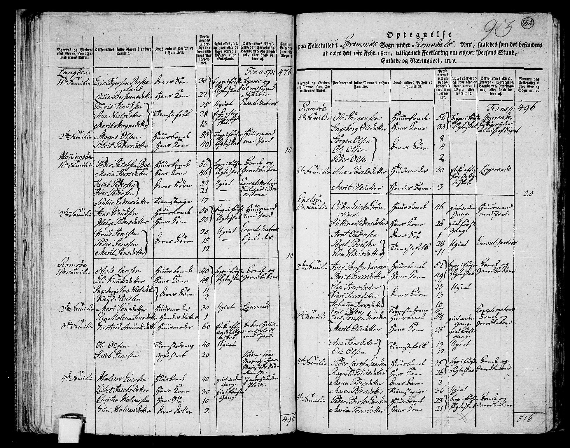 RA, 1801 census for 1553P Kvernes, 1801, p. 550b-551a