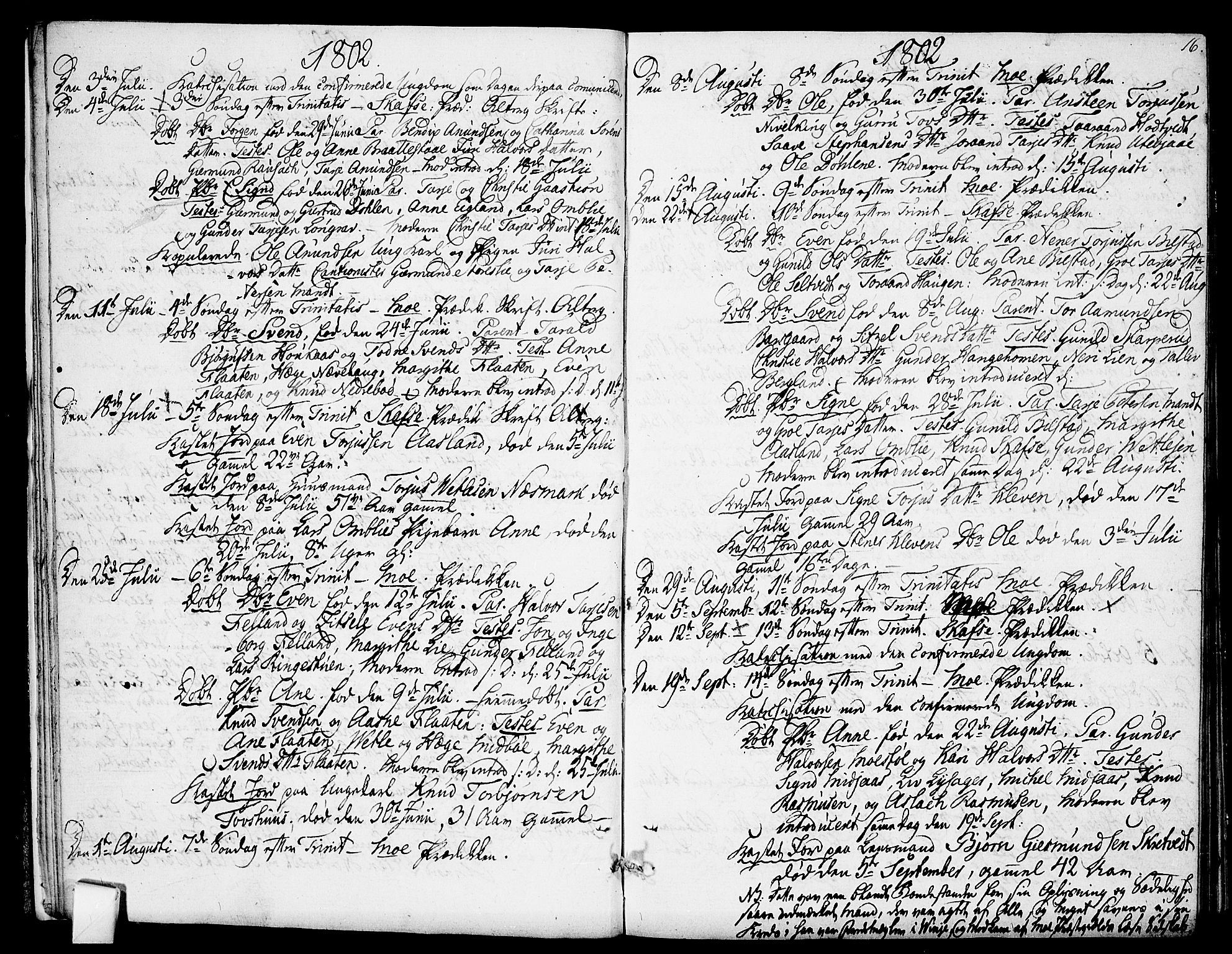 Mo kirkebøker, SAKO/A-286/F/Fa/L0003: Parish register (official) no. I 3, 1800-1814, p. 16