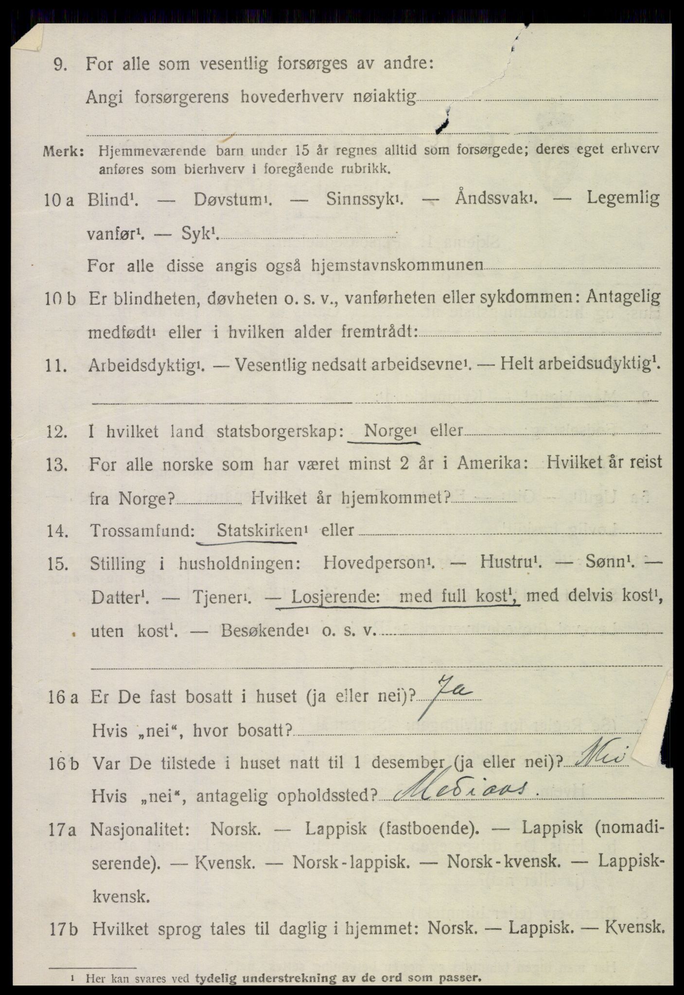 SAT, 1920 census for Snåsa, 1920, p. 4947