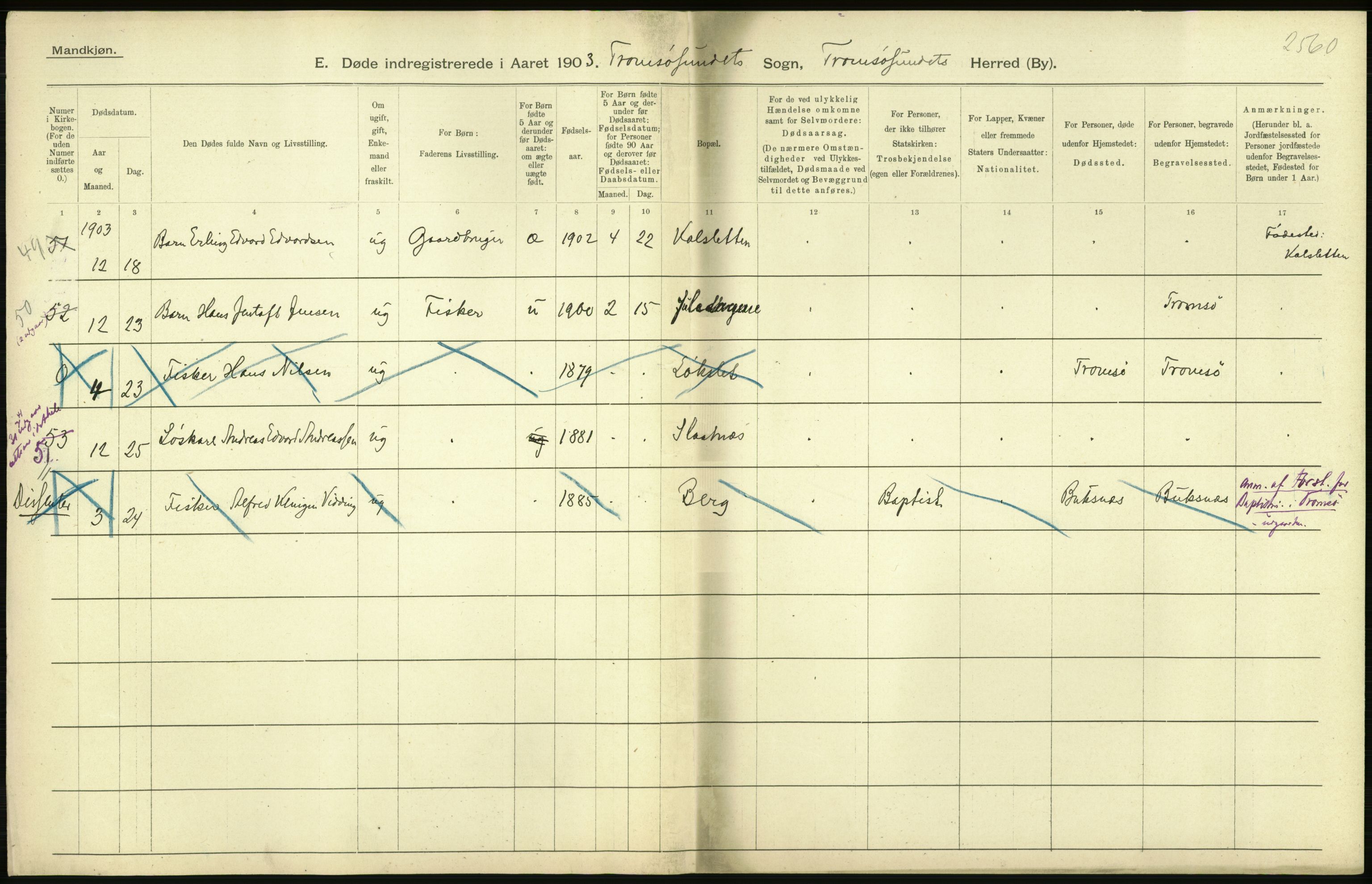 Statistisk sentralbyrå, Sosiodemografiske emner, Befolkning, AV/RA-S-2228/D/Df/Dfa/Dfaa/L0021: Tromsø amt: Fødte, gifte, døde., 1903, p. 524