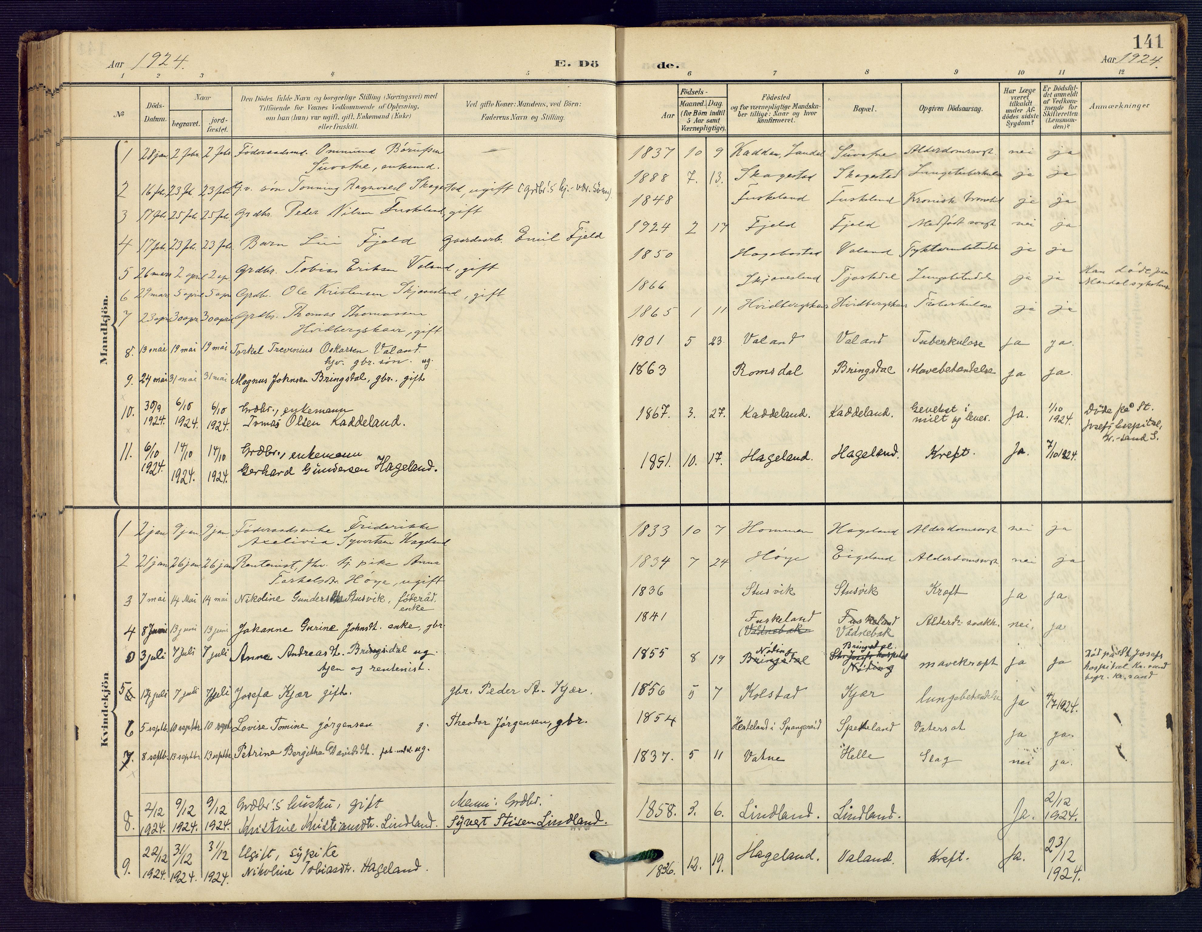 Holum sokneprestkontor, SAK/1111-0022/F/Fa/Faa/L0008: Parish register (official) no. A 8, 1908-1929, p. 141