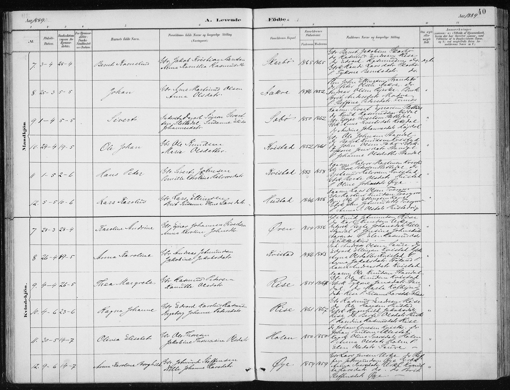 Ministerialprotokoller, klokkerbøker og fødselsregistre - Møre og Romsdal, AV/SAT-A-1454/515/L0215: Parish register (copy) no. 515C02, 1884-1906, p. 40