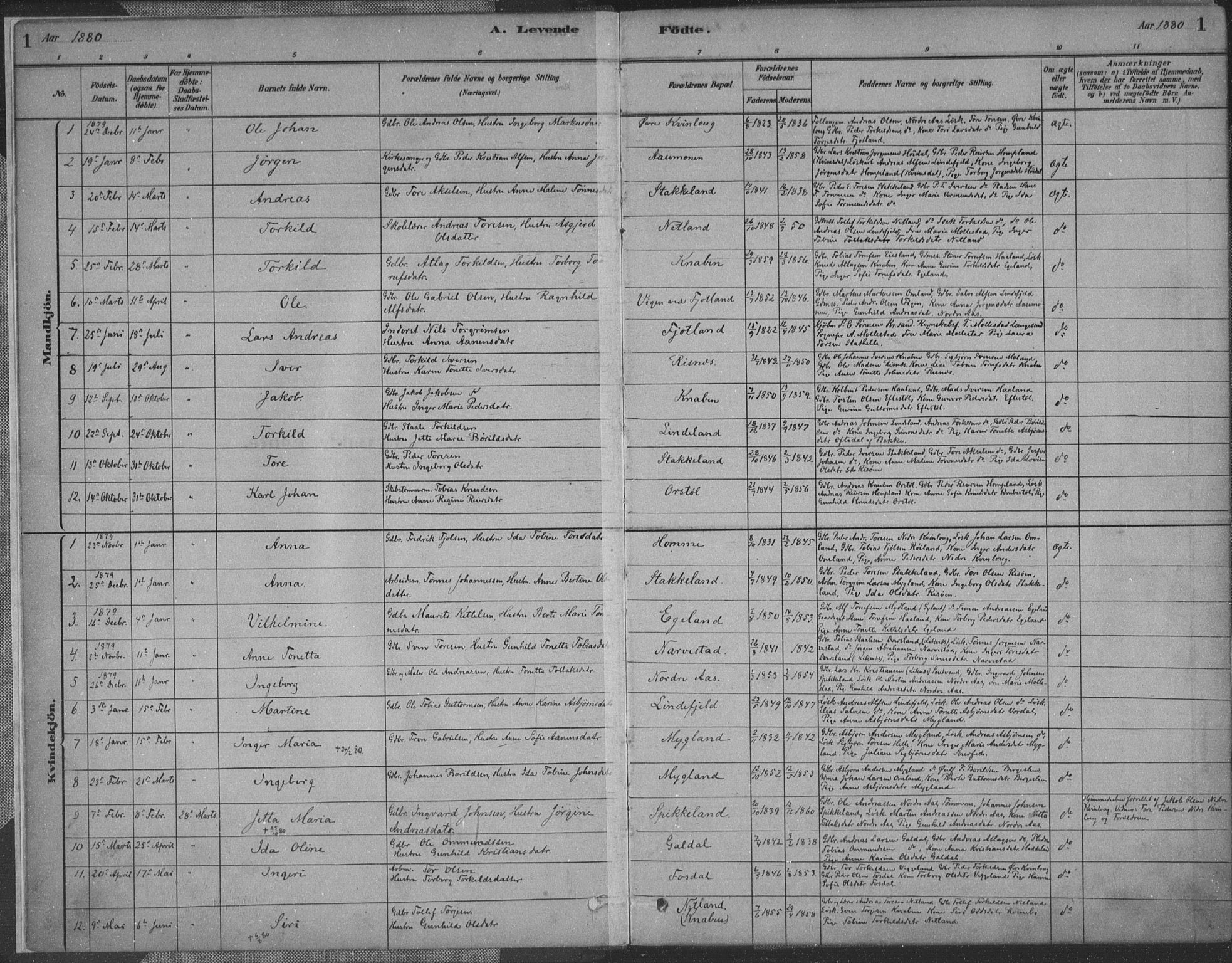 Fjotland sokneprestkontor, SAK/1111-0010/F/Fa/L0002: Parish register (official) no. A 2, 1880-1898, p. 1