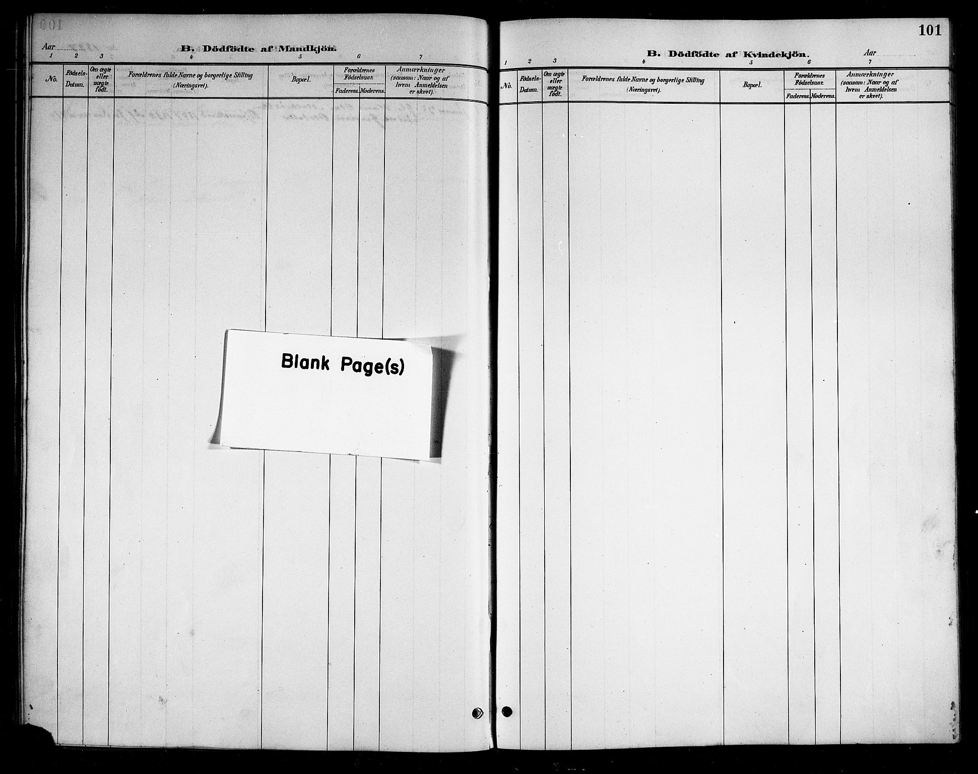 Ministerialprotokoller, klokkerbøker og fødselsregistre - Nordland, AV/SAT-A-1459/898/L1427: Parish register (copy) no. 898C02, 1887-1917, p. 101