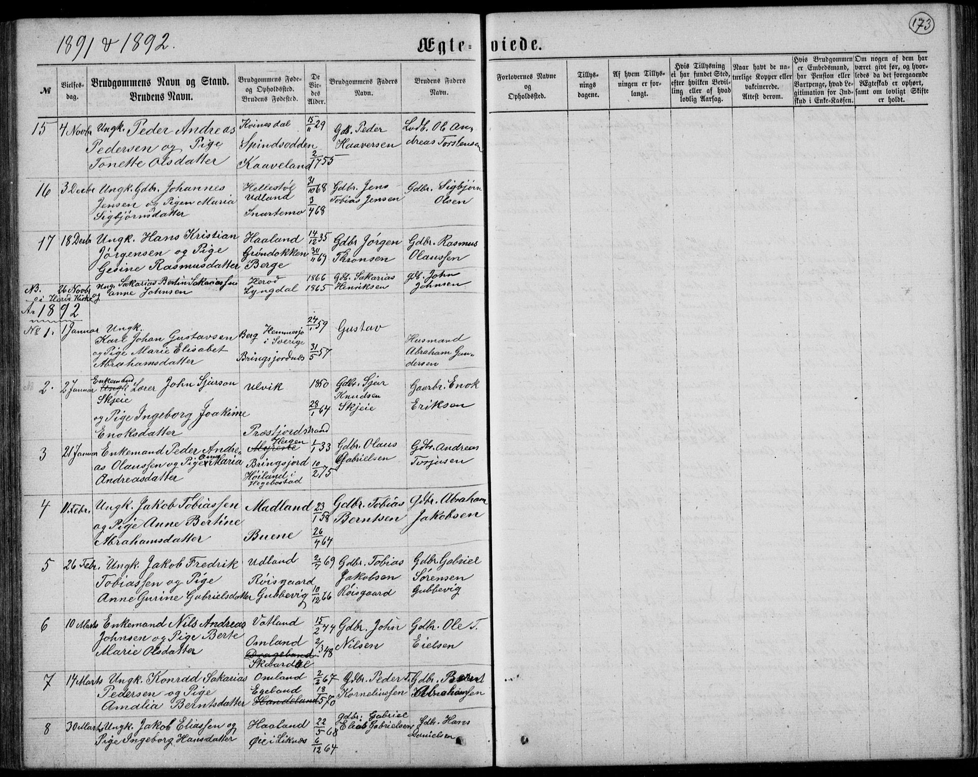 Lyngdal sokneprestkontor, AV/SAK-1111-0029/F/Fb/Fbc/L0004: Parish register (copy) no. B 4, 1878-1896, p. 173