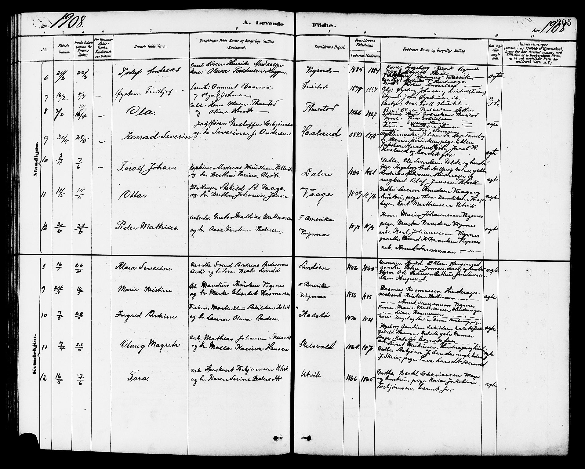 Avaldsnes sokneprestkontor, SAST/A -101851/H/Ha/Hab/L0007: Parish register (copy) no. B 7, 1885-1909, p. 205