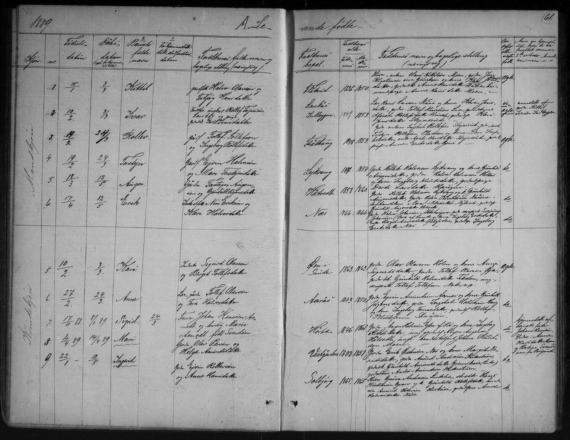 Sauherad kirkebøker, AV/SAKO-A-298/G/Gb/L0002: Parish register (copy) no. II 2, 1866-1897, p. 61
