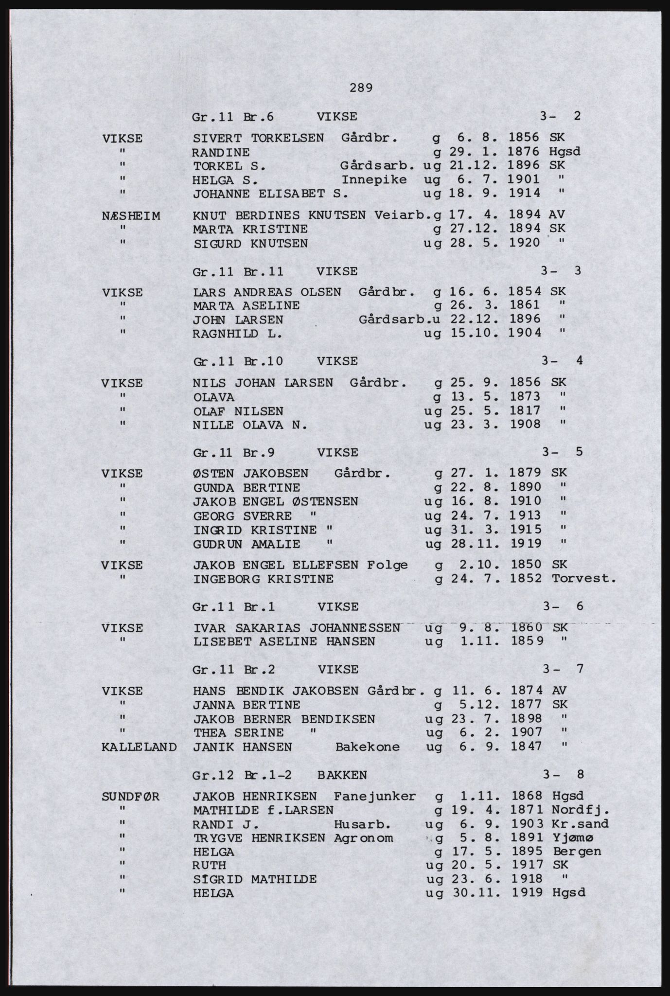 SAST, Copy of 1920 census for the Northern Rogaland, 1920, p. 313