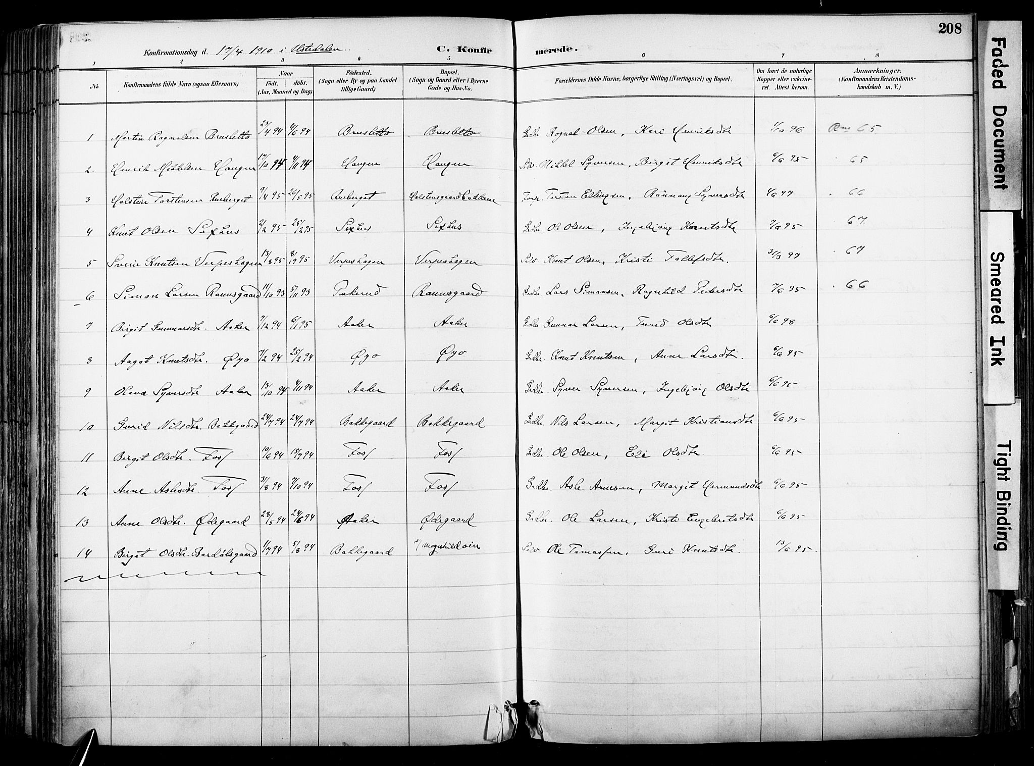 Hol kirkebøker, AV/SAKO-A-227/F/Fa/L0003: Parish register (official) no. I 3, 1887-1918, p. 208