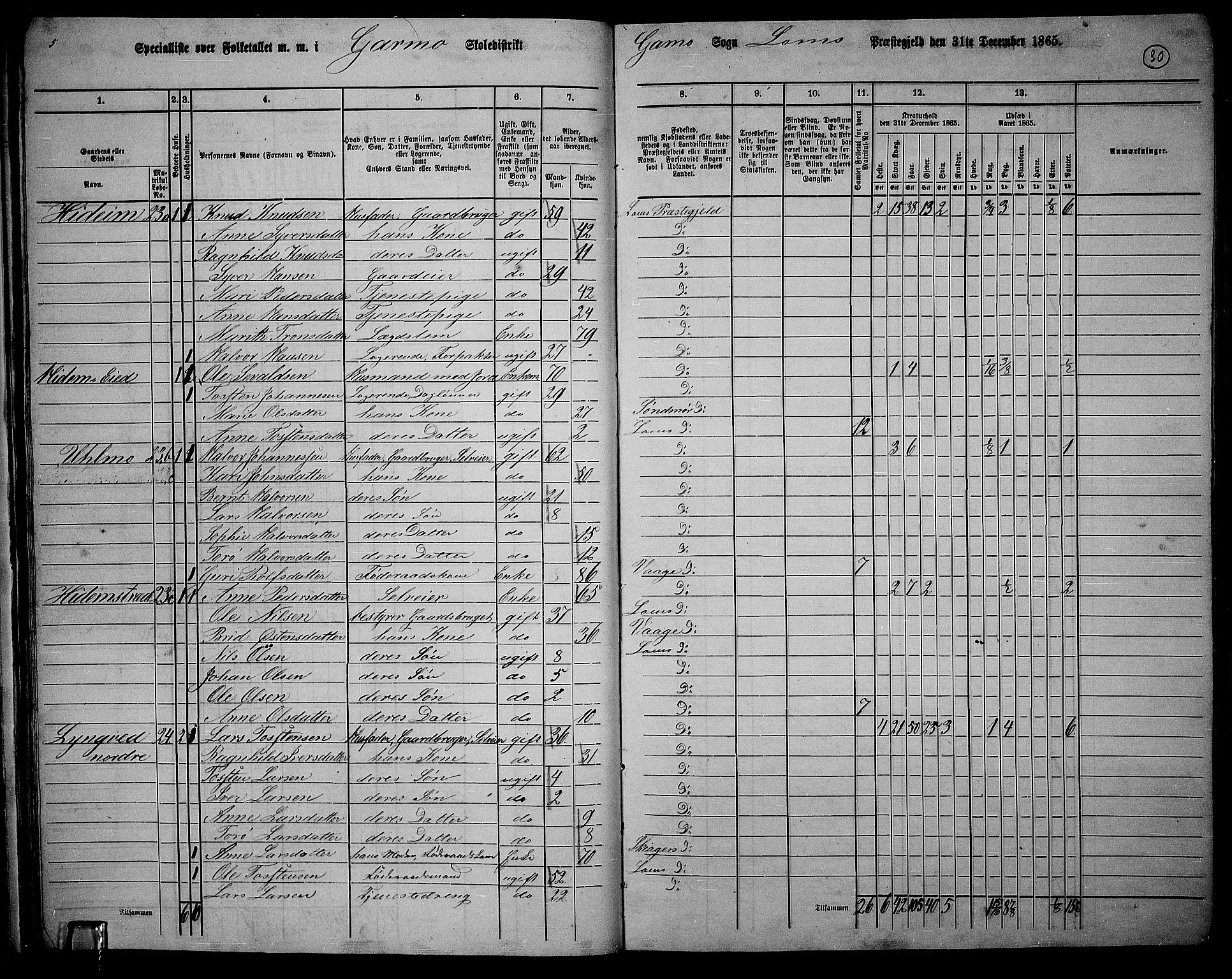 RA, 1865 census for Lom, 1865, p. 28