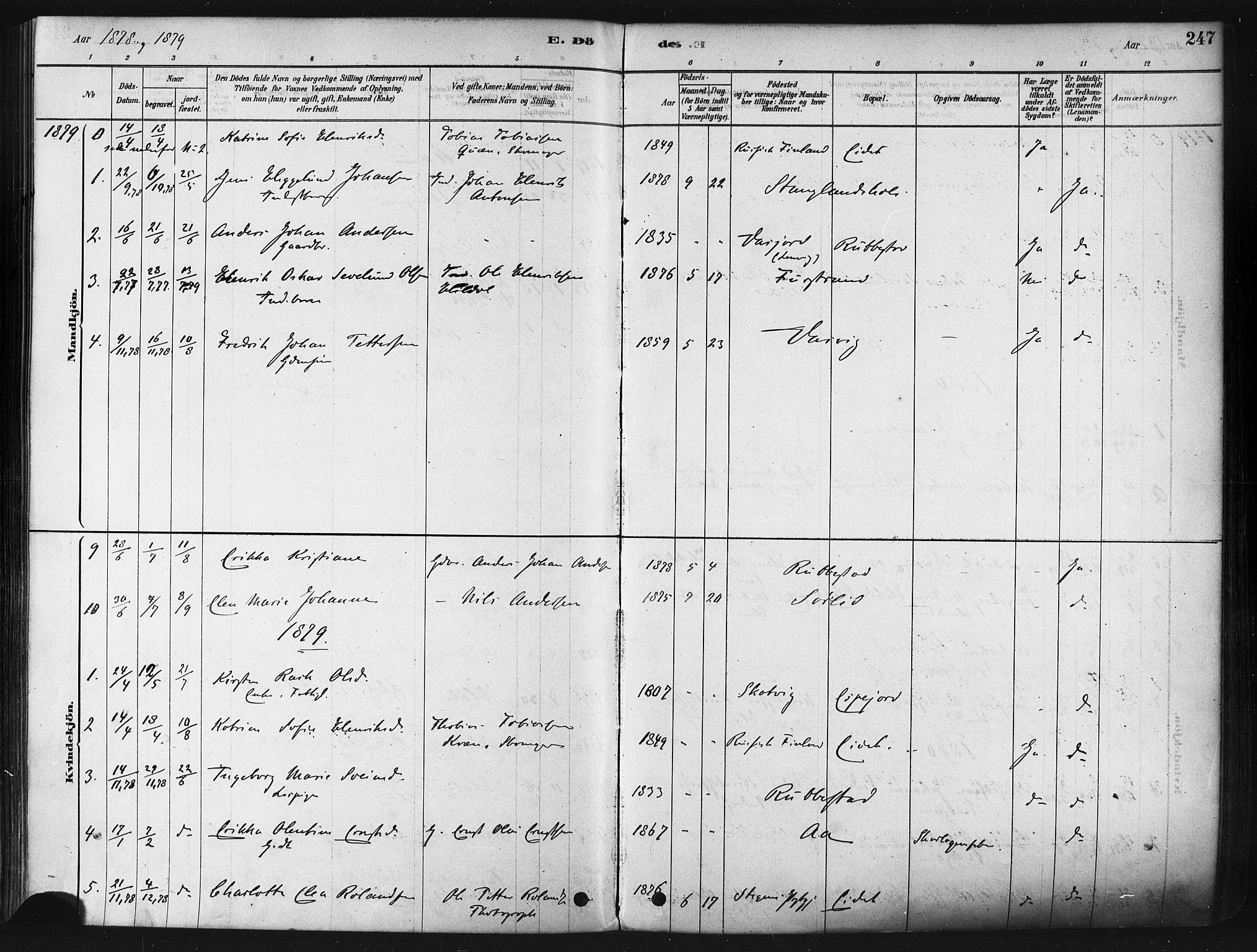 Tranøy sokneprestkontor, SATØ/S-1313/I/Ia/Iaa/L0009kirke: Parish register (official) no. 9, 1878-1904, p. 247