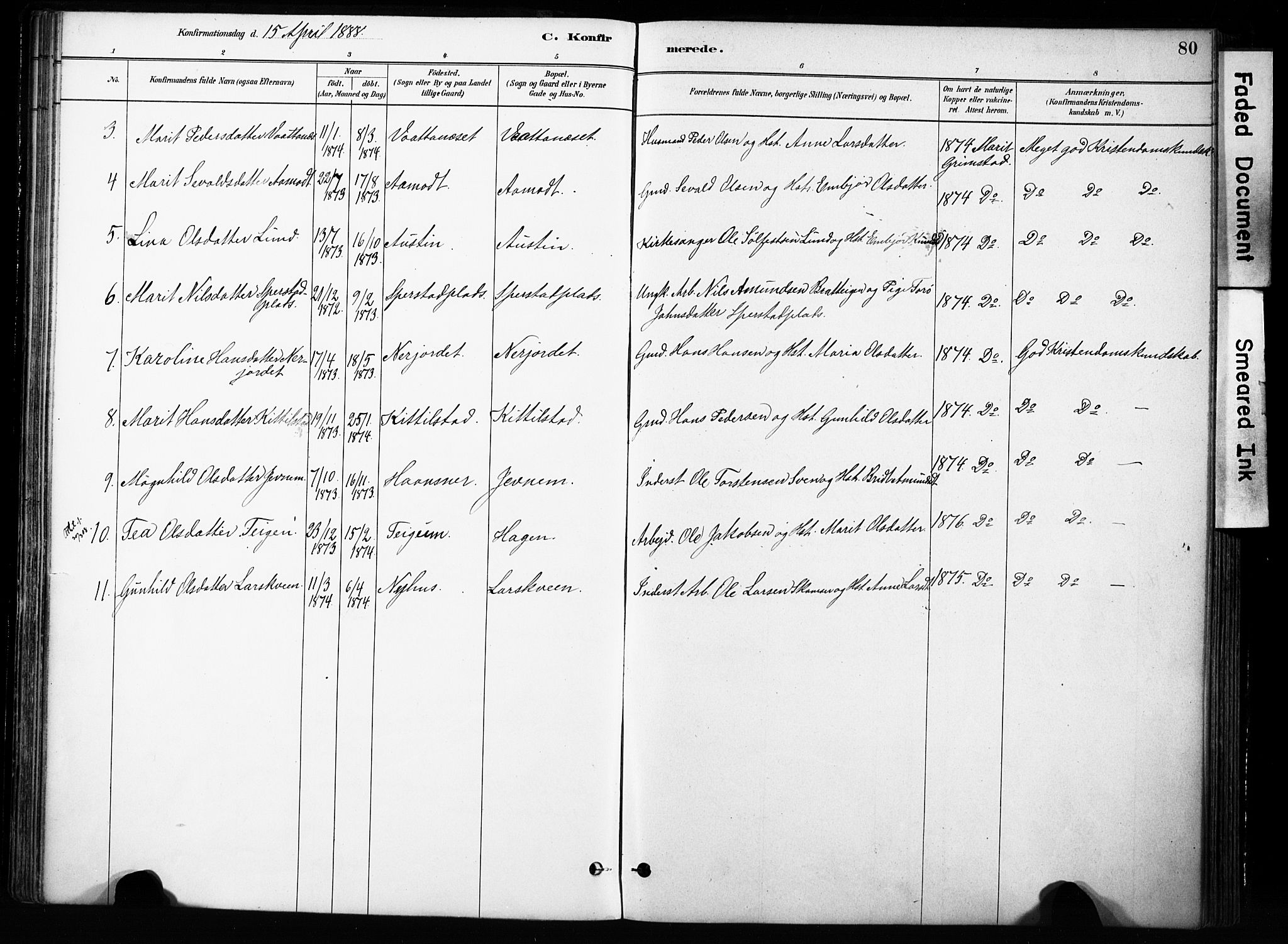 Skjåk prestekontor, SAH/PREST-072/H/Ha/Haa/L0004: Parish register (official) no. 4, 1880-1904, p. 80