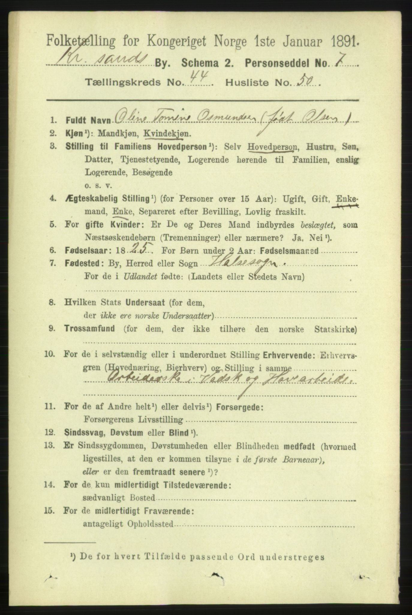 RA, 1891 census for 1001 Kristiansand, 1891, p. 13904