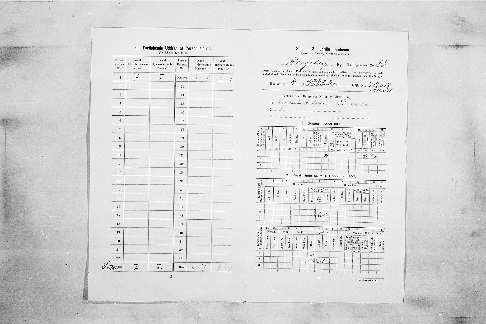 RA, 1900 census for Kongsberg, 1900, p. 2243