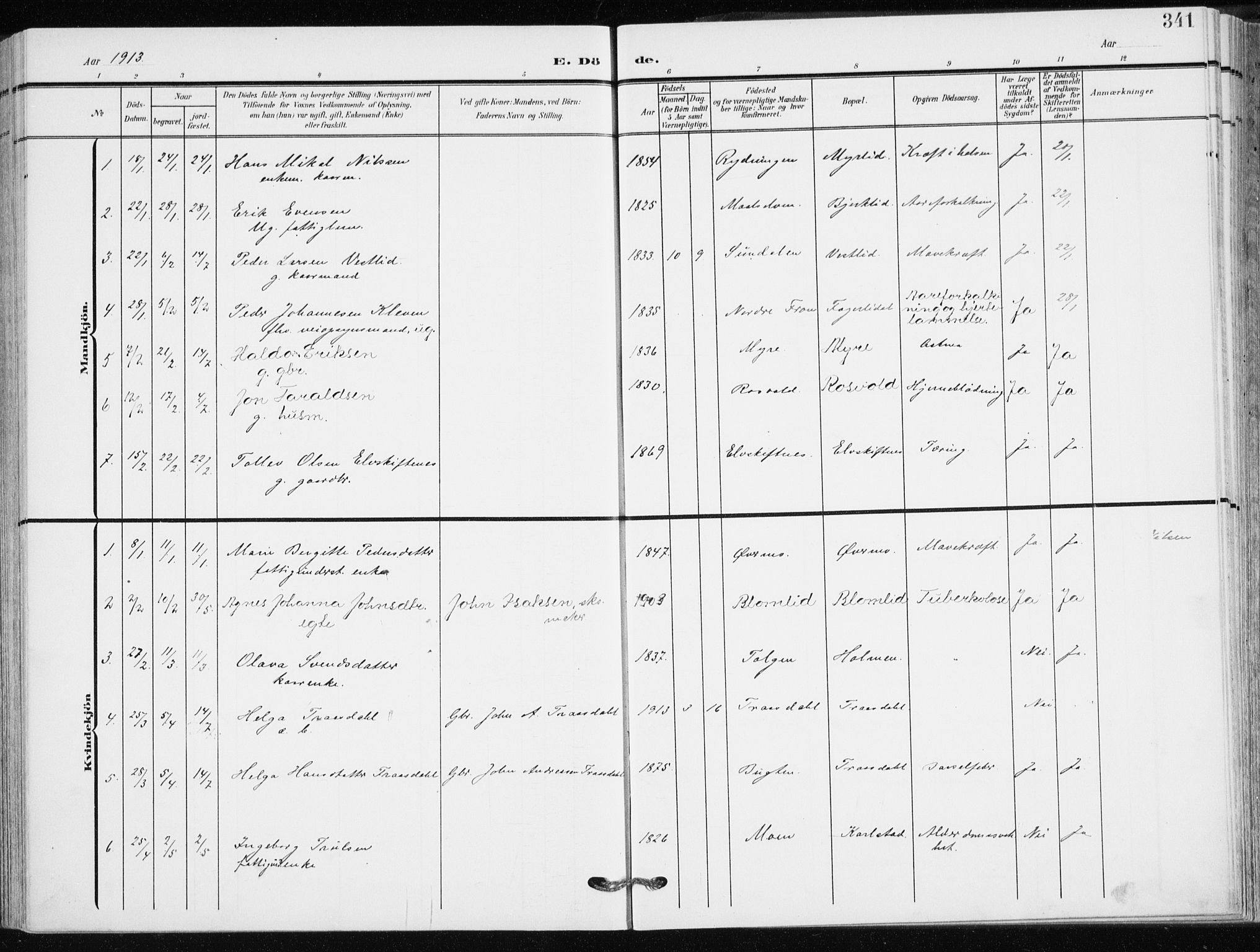 Målselv sokneprestembete, AV/SATØ-S-1311/G/Ga/Gaa/L0011kirke: Parish register (official) no. 11, 1904-1918, p. 341