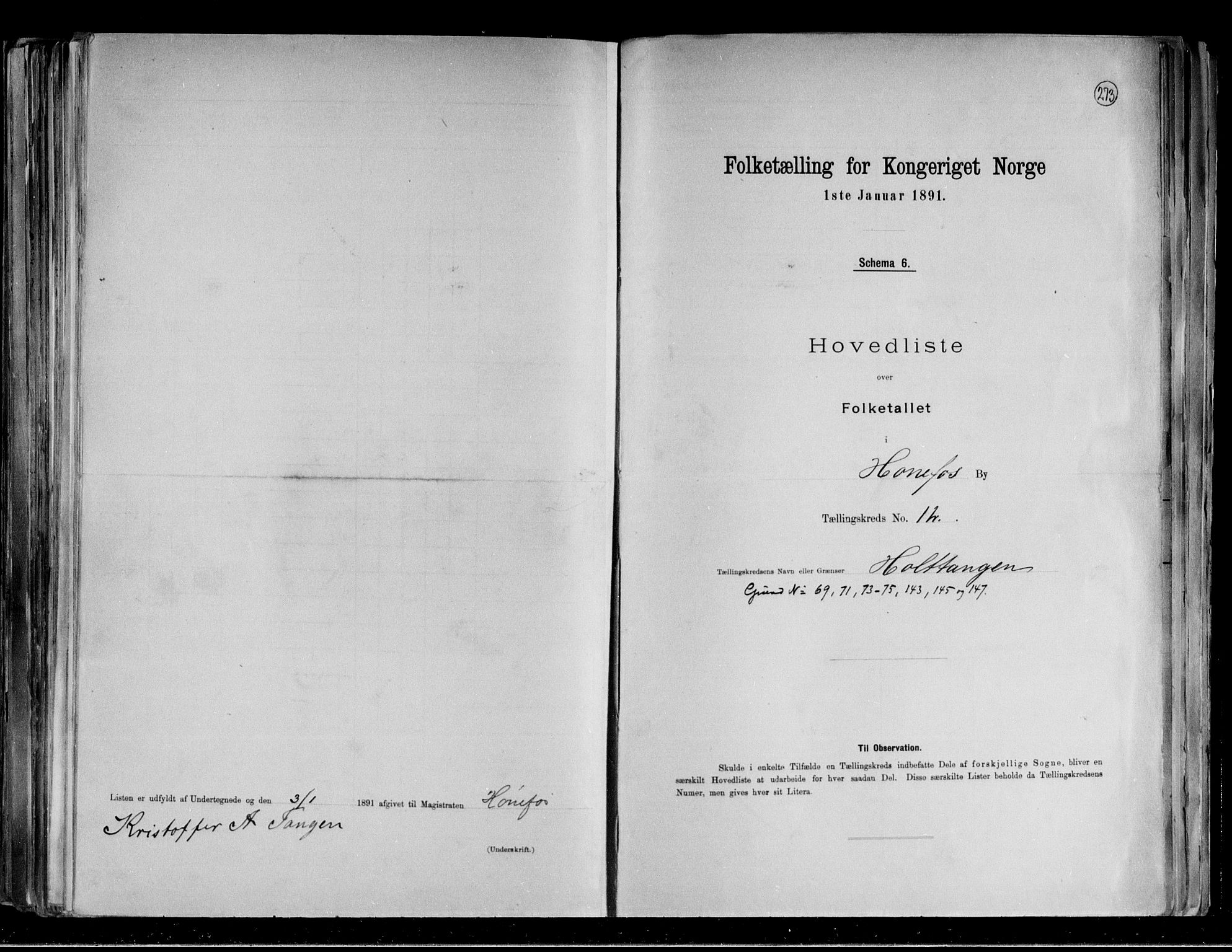 RA, 1891 census for 0601 Hønefoss, 1891, p. 50