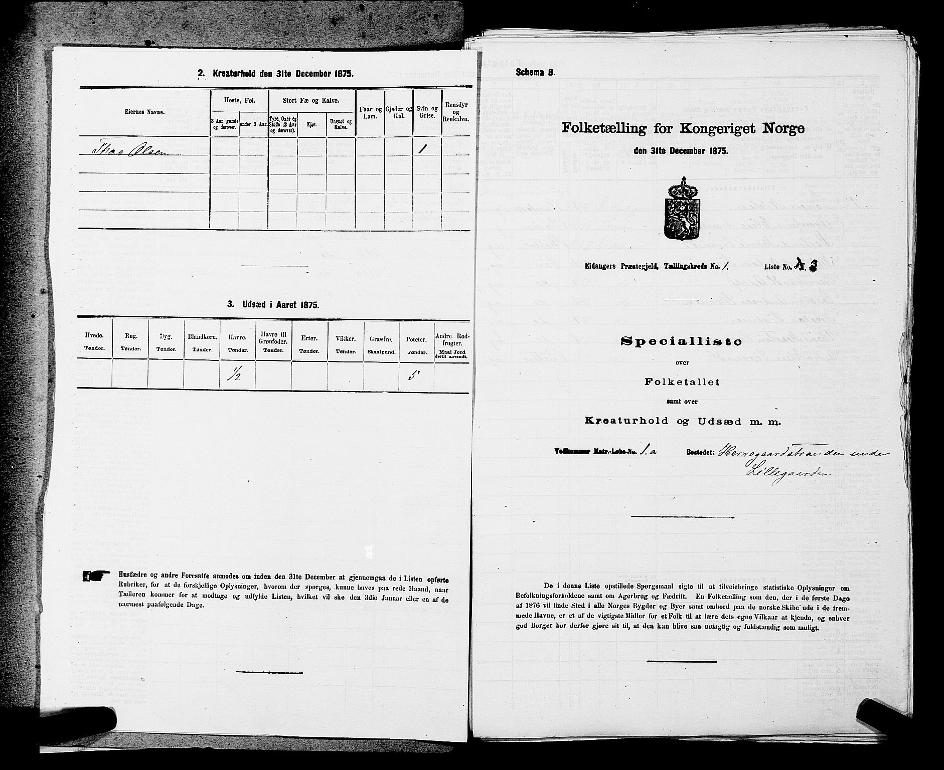 SAKO, 1875 census for 0813P Eidanger, 1875, p. 58