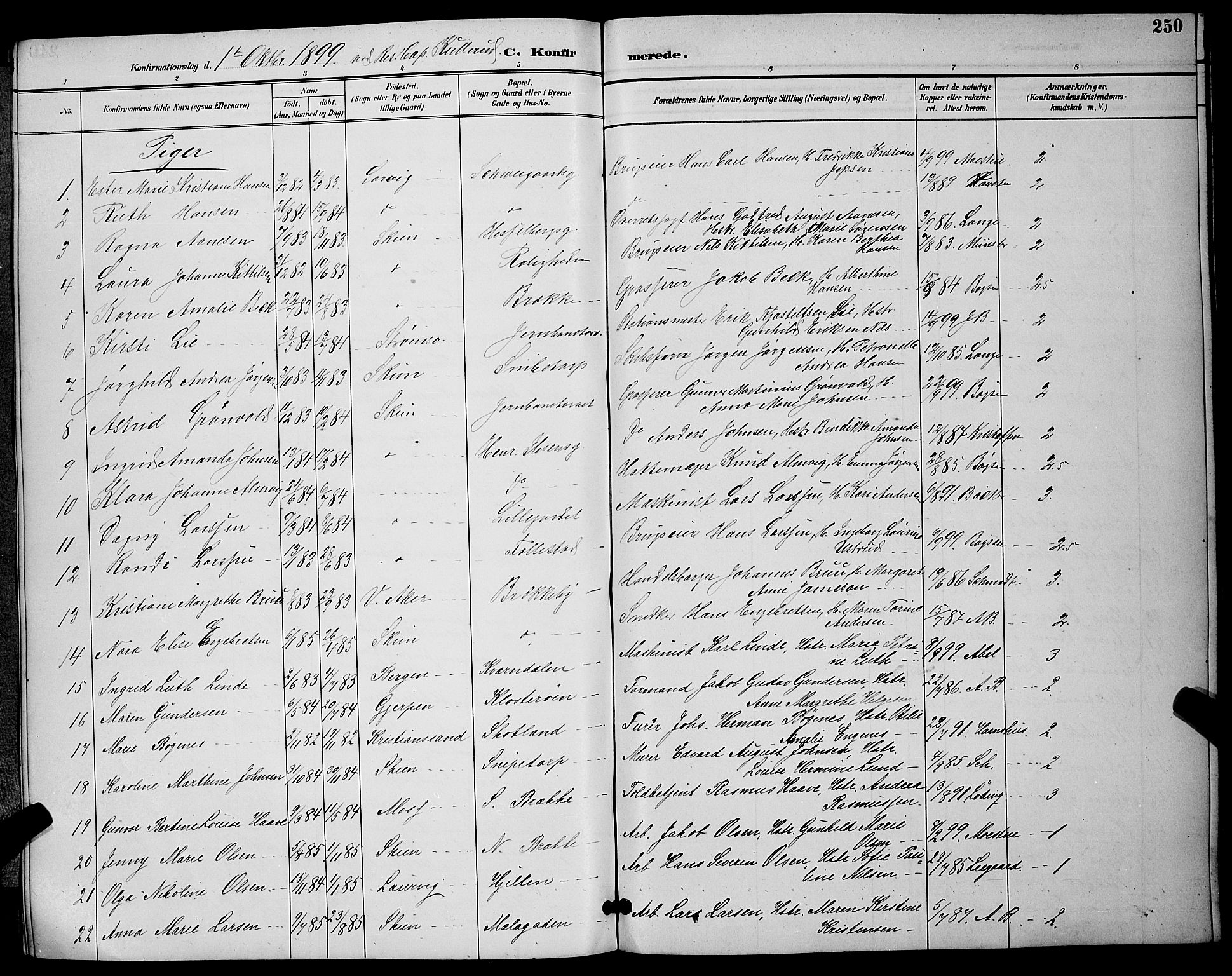 Skien kirkebøker, AV/SAKO-A-302/G/Ga/L0007: Parish register (copy) no. 7, 1891-1900, p. 250