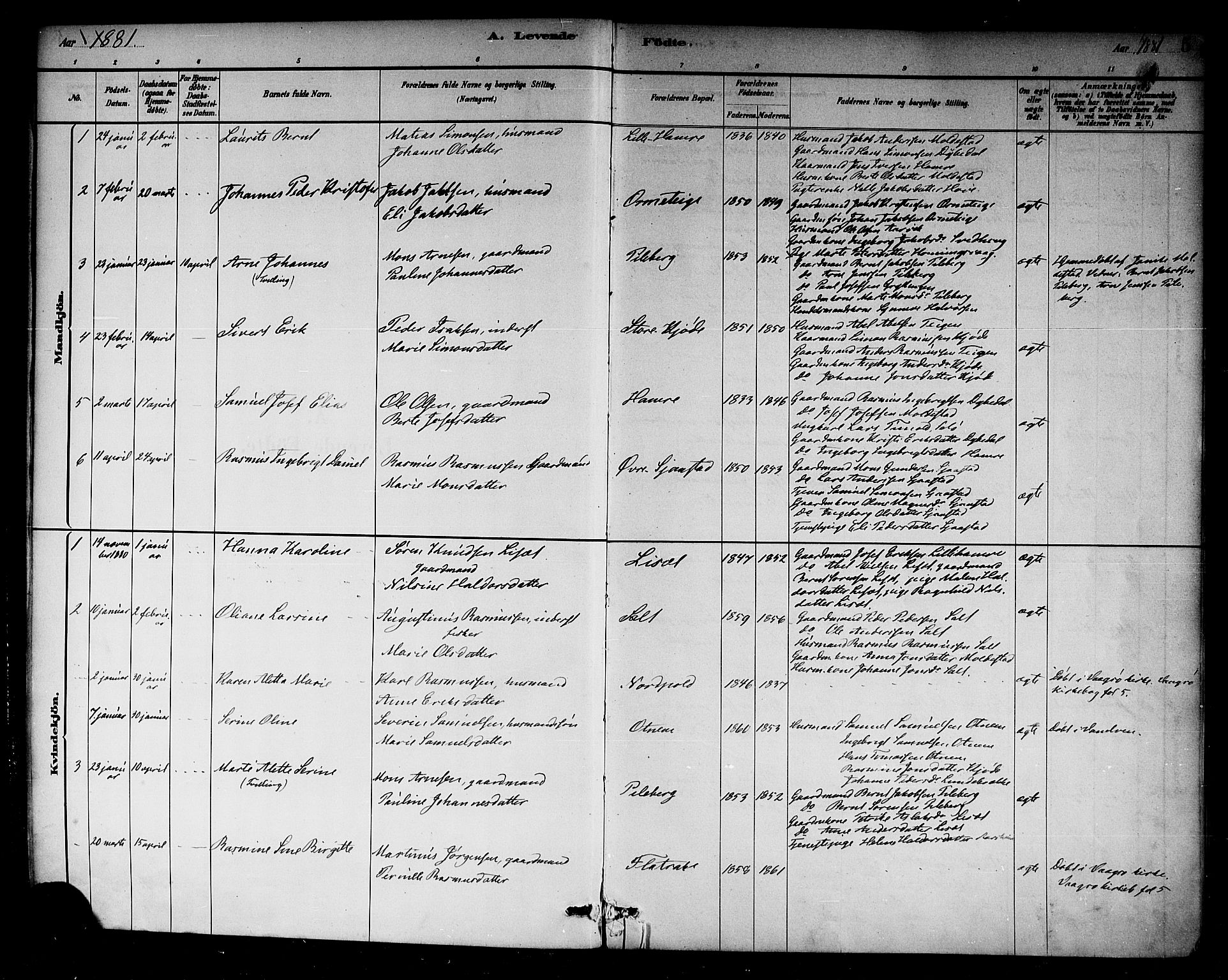 Selje sokneprestembete, SAB/A-99938/H/Ha/Haa/Haab: Parish register (official) no. B 1, 1881-1890, p. 5