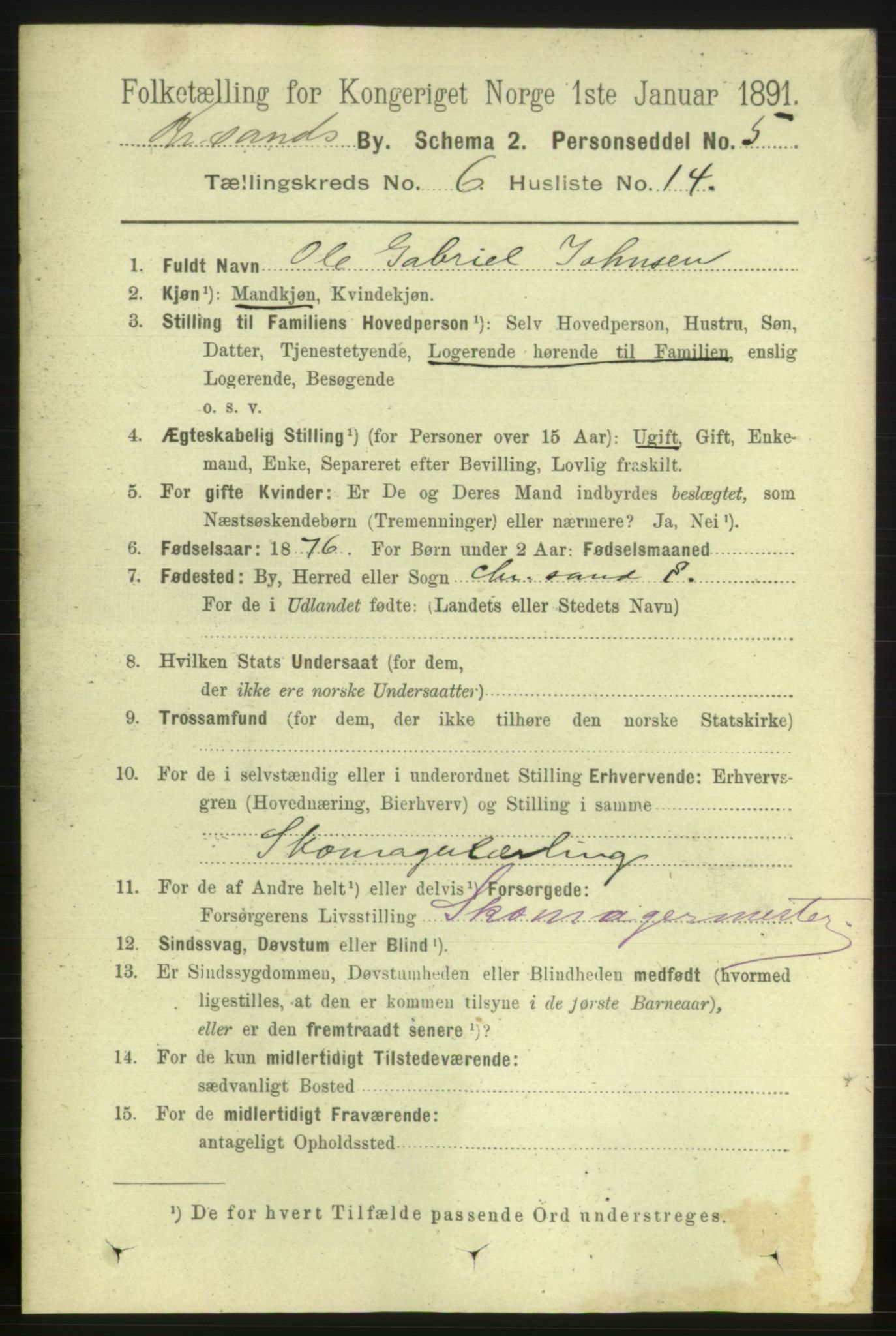 RA, 1891 census for 1001 Kristiansand, 1891, p. 4610