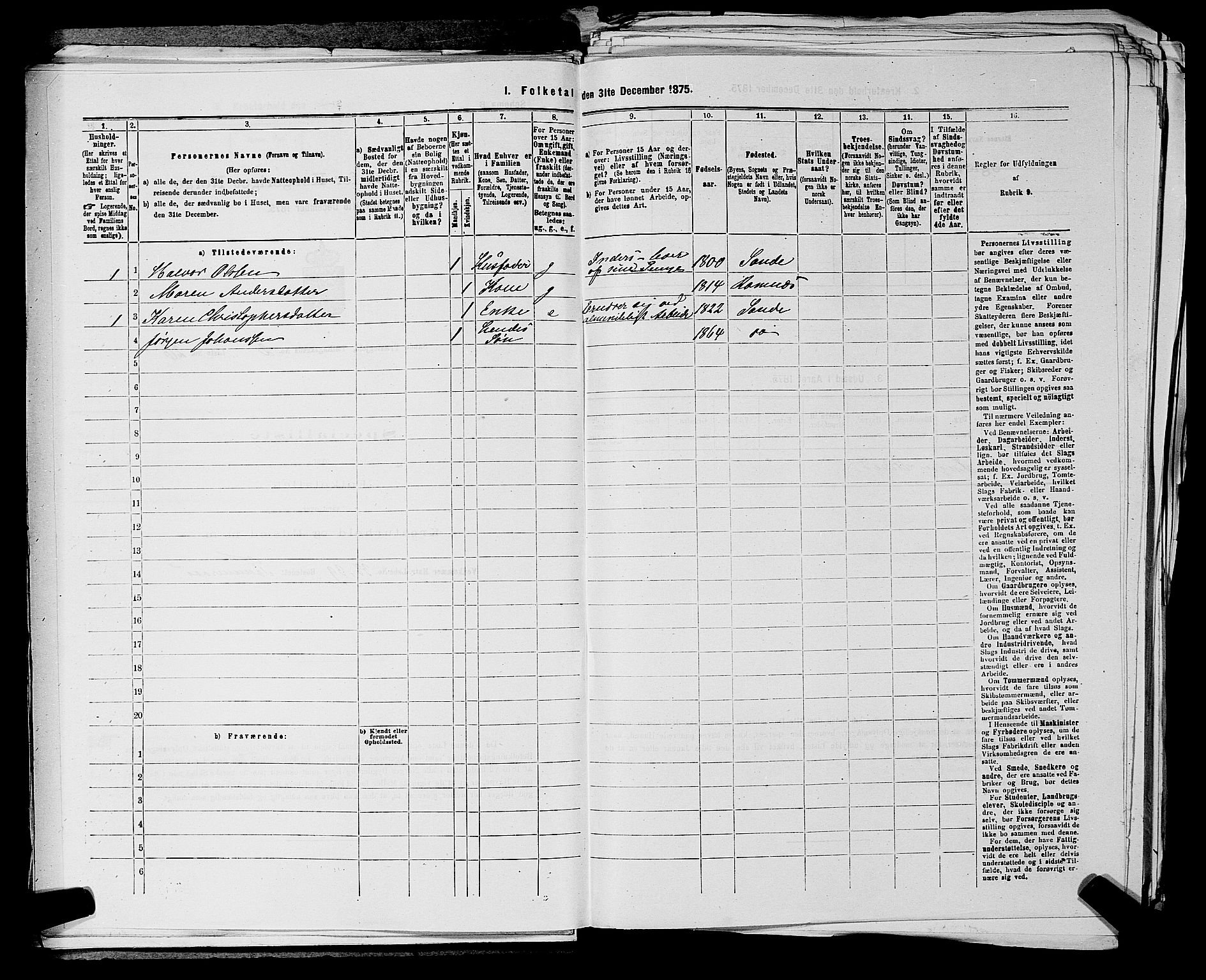 SAKO, 1875 census for 0713P Sande, 1875, p. 333