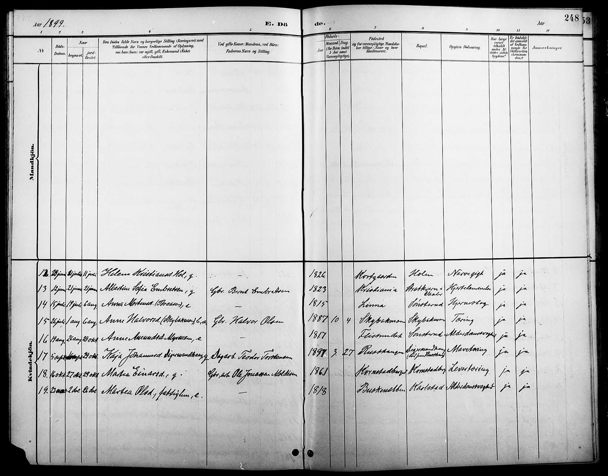 Åsnes prestekontor, AV/SAH-PREST-042/H/Ha/Hab/L0005: Parish register (copy) no. 5, 1895-1920, p. 248