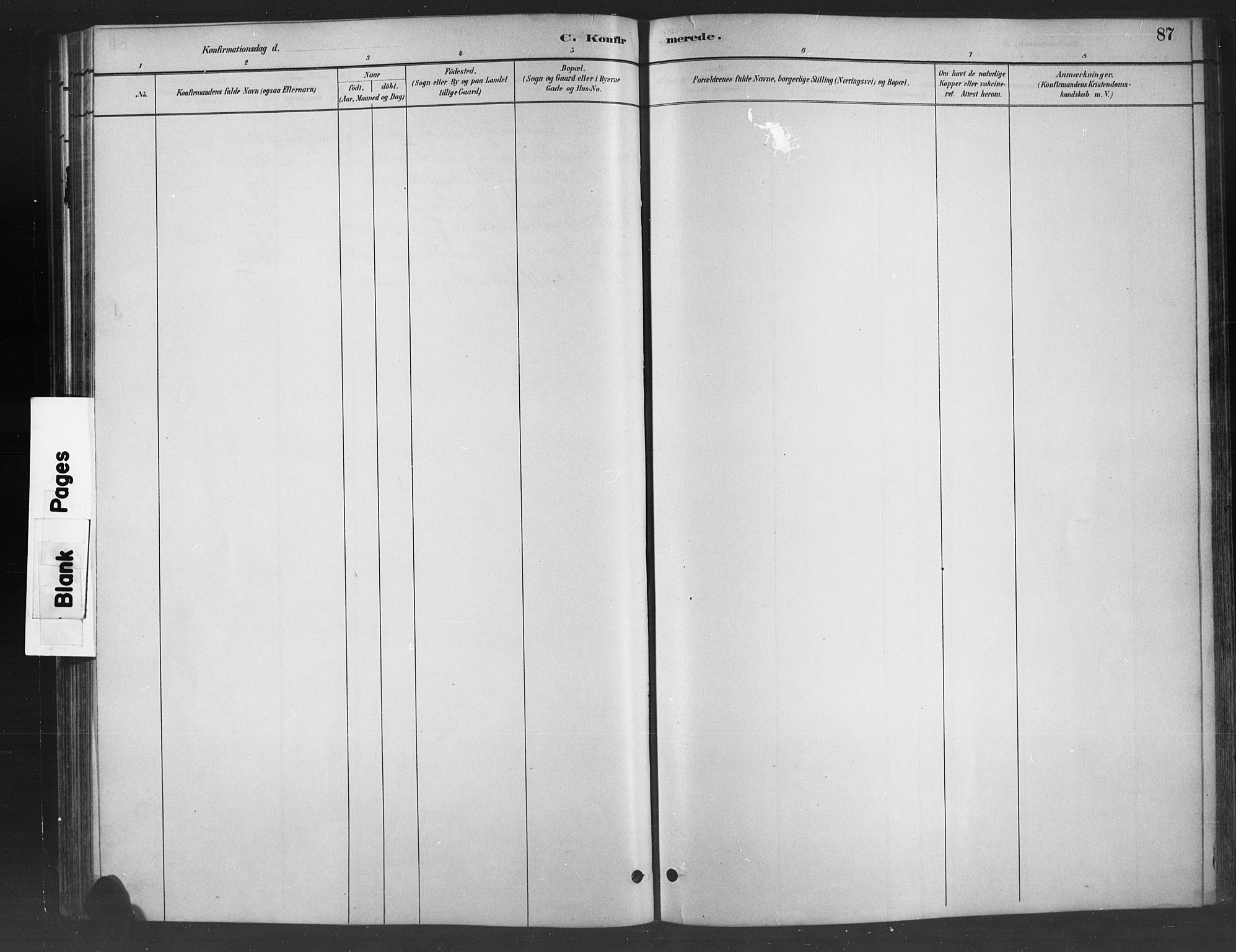 Nord-Aurdal prestekontor, SAH/PREST-132/H/Ha/Hab/L0008: Parish register (copy) no. 8, 1883-1916, p. 87