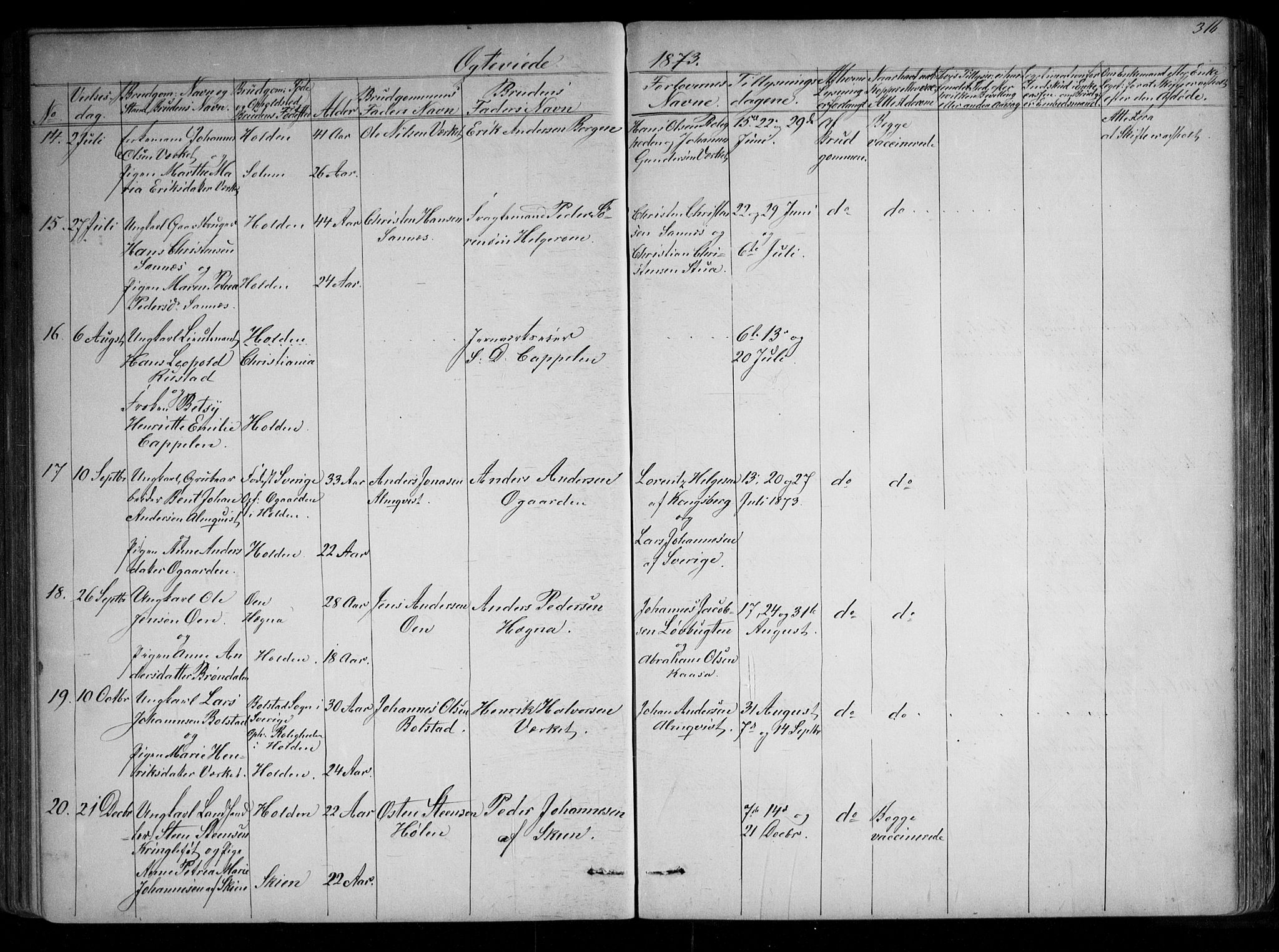 Holla kirkebøker, SAKO/A-272/G/Ga/L0004: Parish register (copy) no. I 4, 1867-1890, p. 316