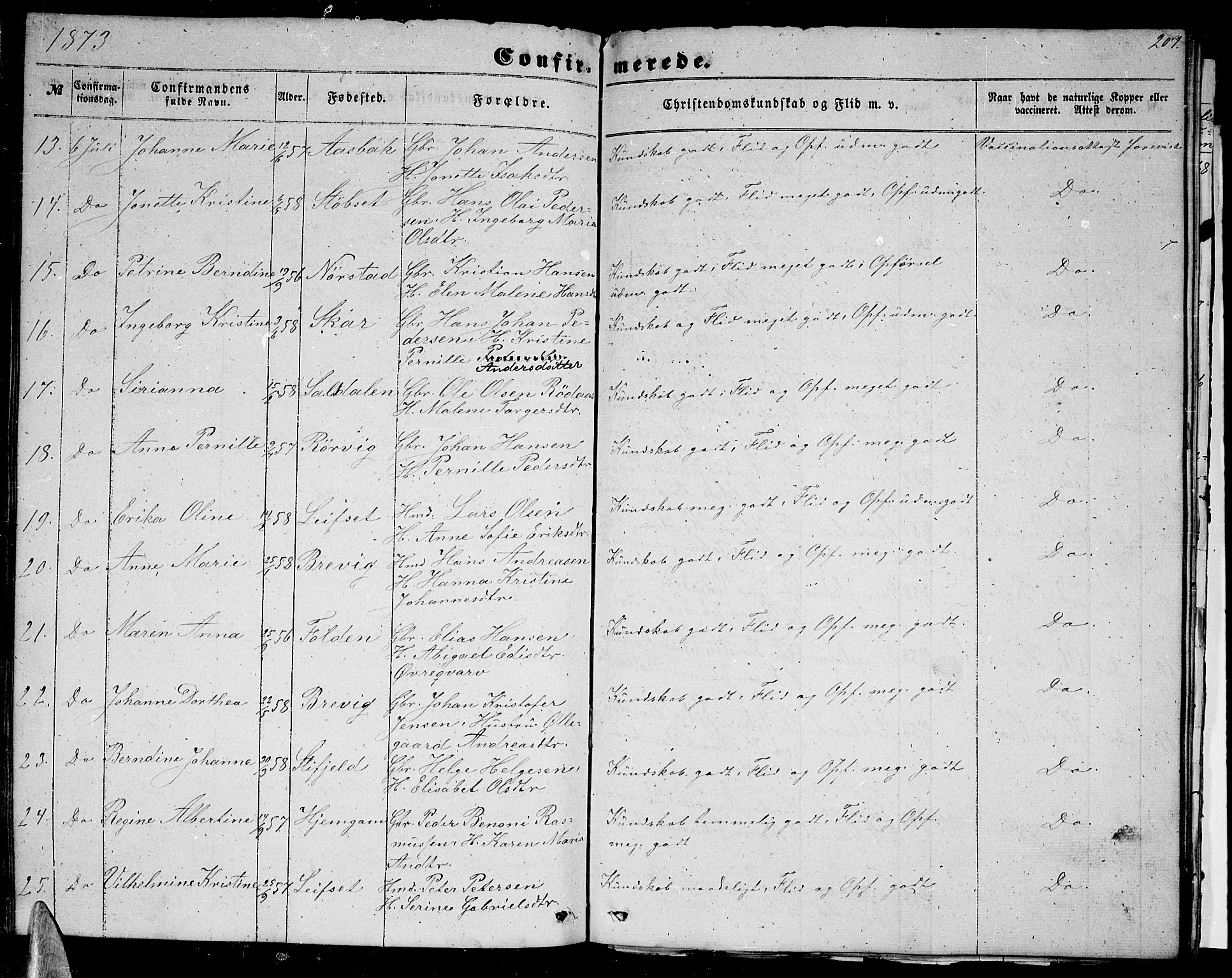 Ministerialprotokoller, klokkerbøker og fødselsregistre - Nordland, AV/SAT-A-1459/852/L0753: Parish register (copy) no. 852C04, 1856-1877, p. 207