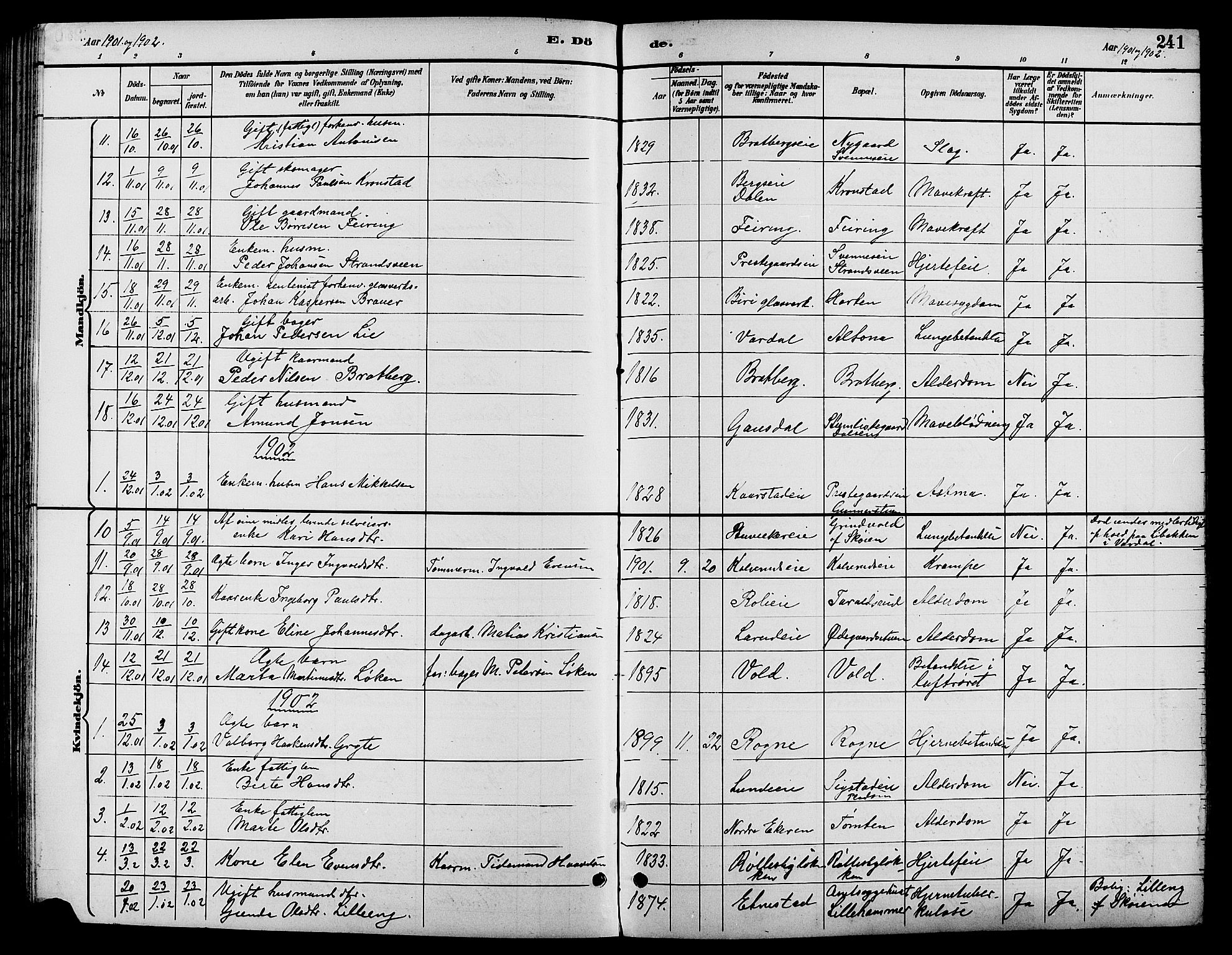 Biri prestekontor, SAH/PREST-096/H/Ha/Hab/L0004: Parish register (copy) no. 4, 1892-1909, p. 241