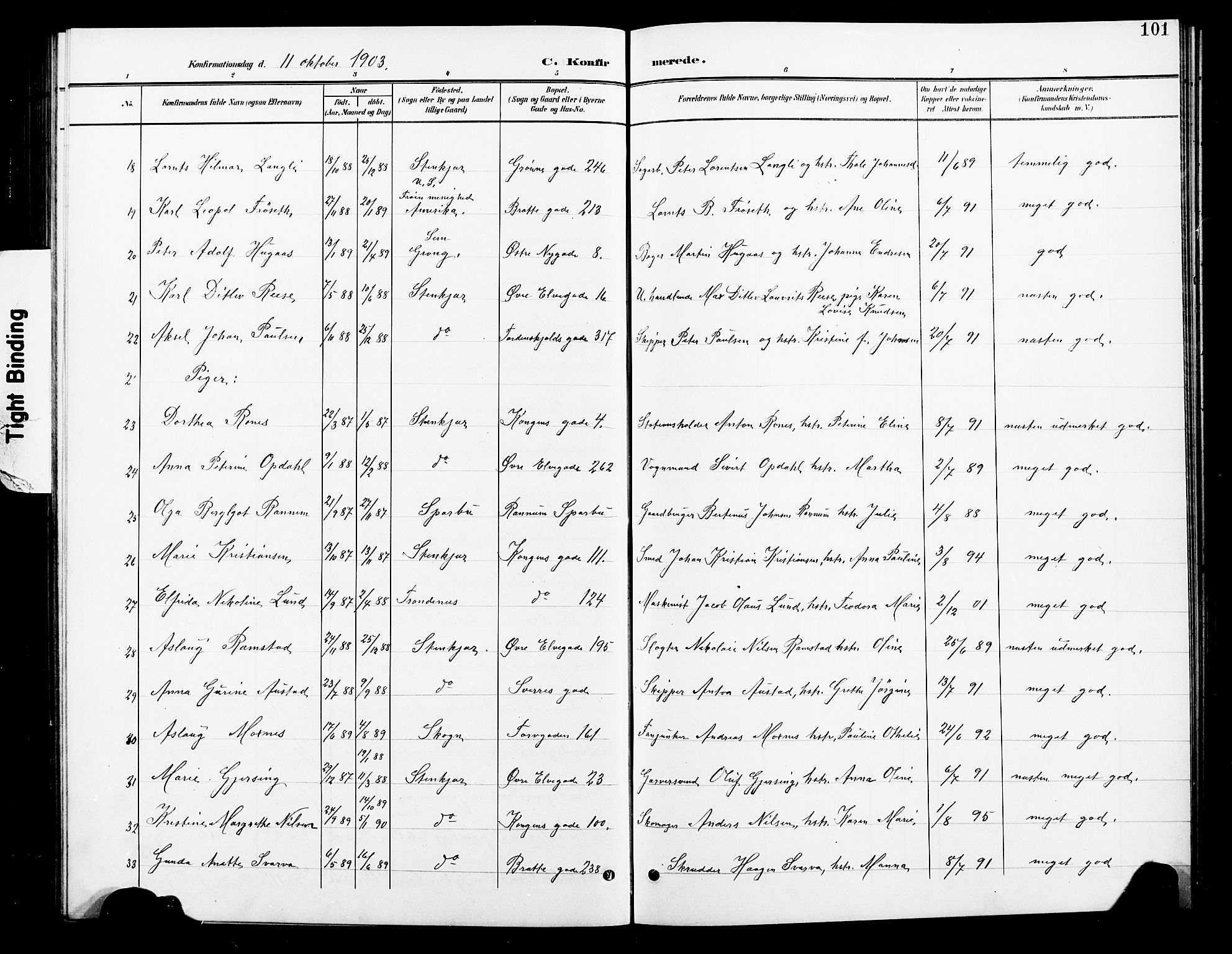 Ministerialprotokoller, klokkerbøker og fødselsregistre - Nord-Trøndelag, SAT/A-1458/739/L0375: Parish register (copy) no. 739C03, 1898-1908, p. 101