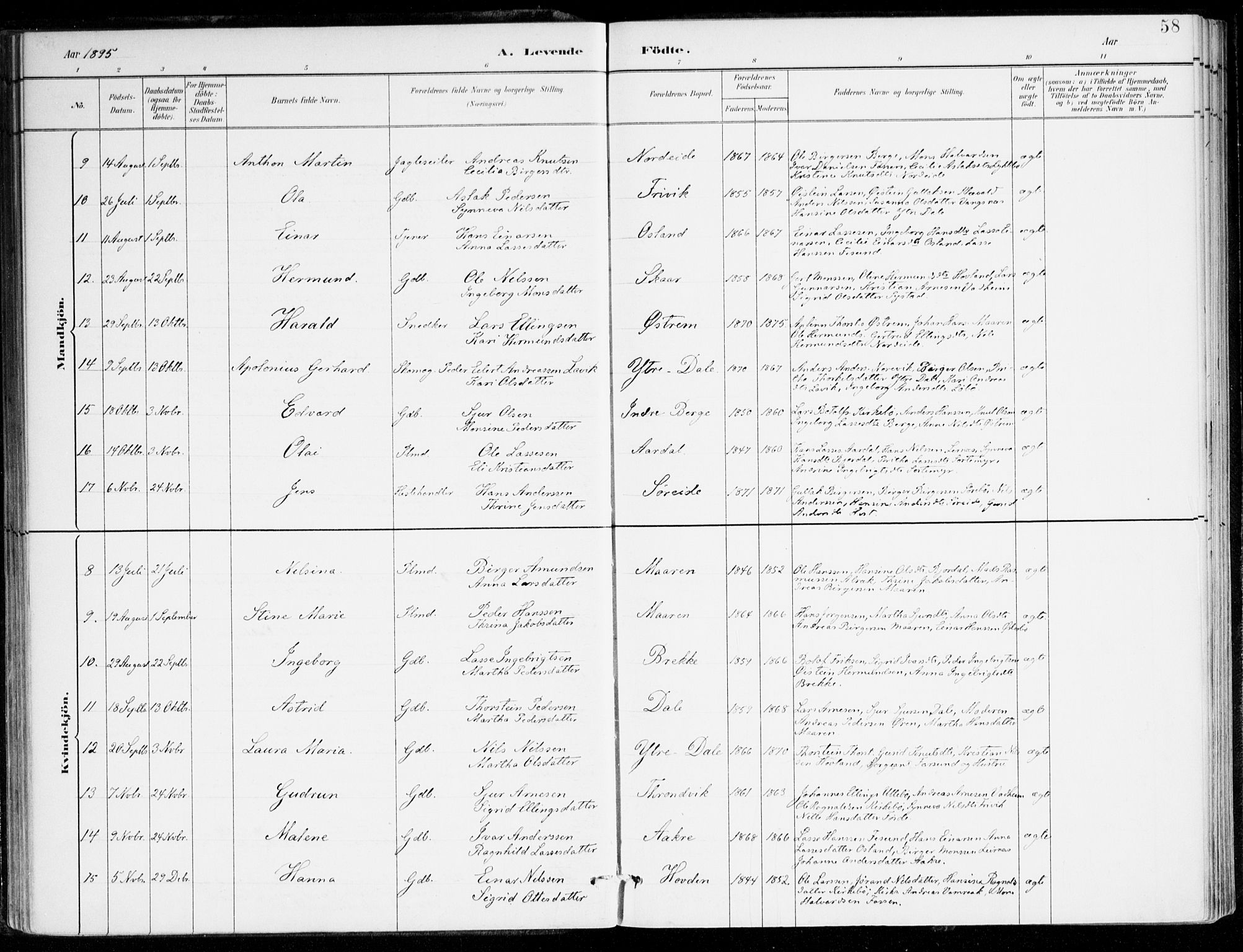 Lavik sokneprestembete, SAB/A-80901: Parish register (official) no. C 1, 1882-1904, p. 58