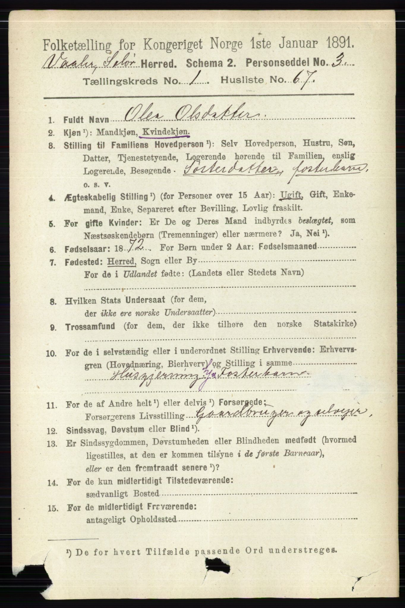 RA, 1891 census for 0426 Våler, 1891, p. 426