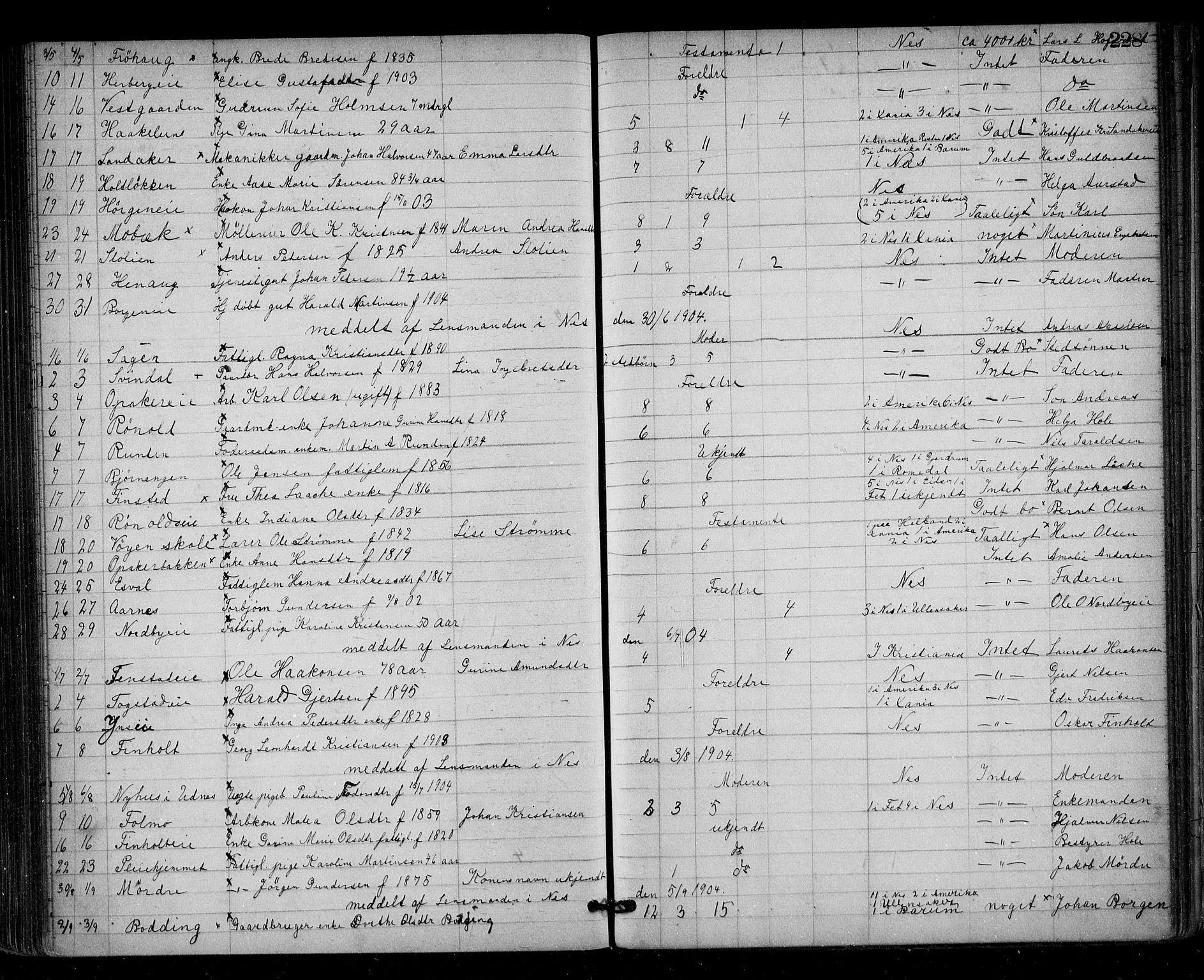 Nes tingrett, AV/SAO-A-10548/H/Ha/Haa/L0001: Dødsfallsprotokoll, 1876-1905, p. 228