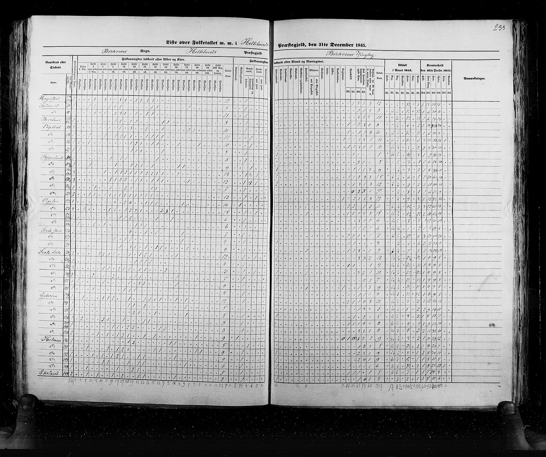 RA, Census 1845, vol. 6: Lister og Mandal amt og Stavanger amt, 1845, p. 233