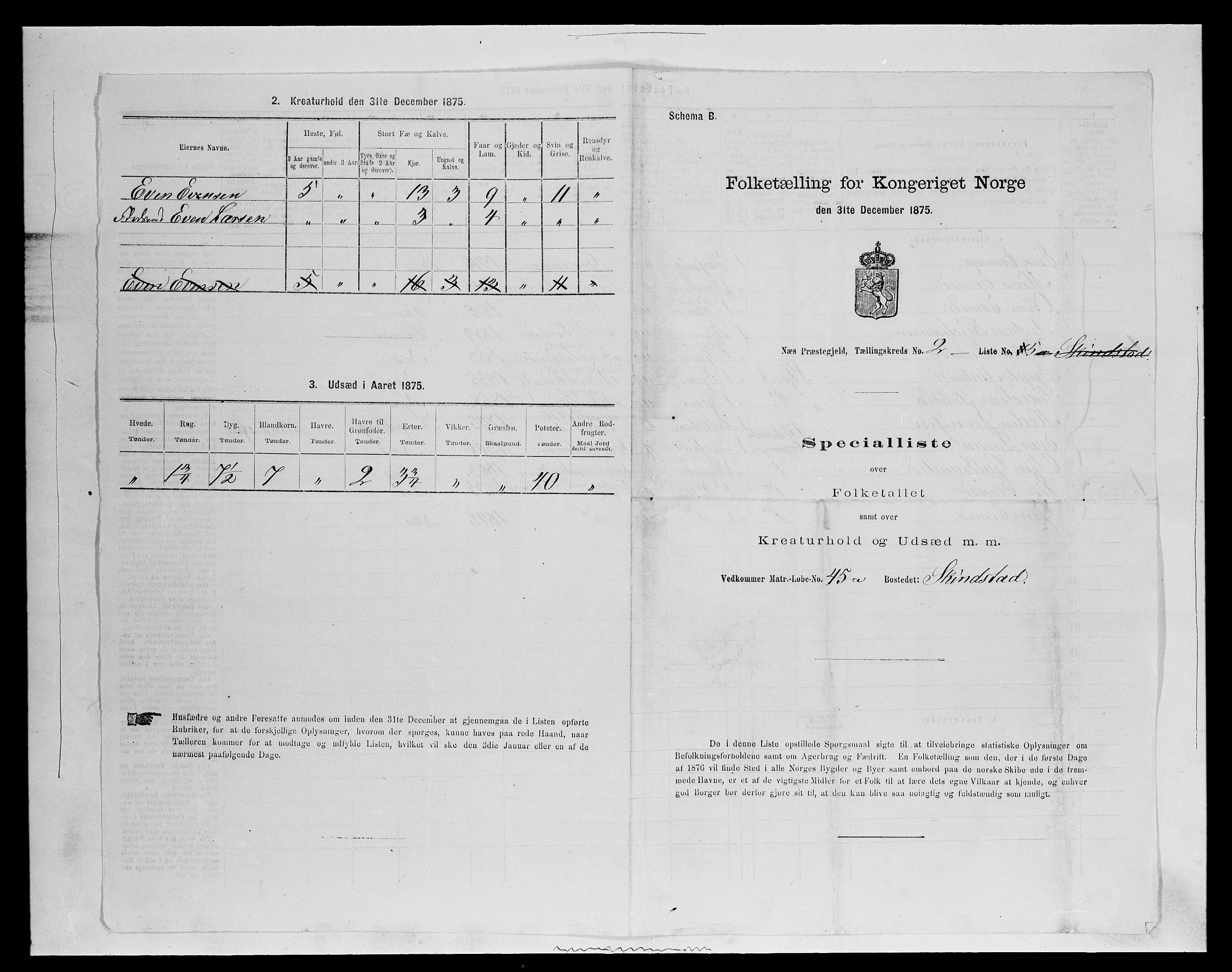 SAH, 1875 census for 0411P Nes, 1875, p. 340