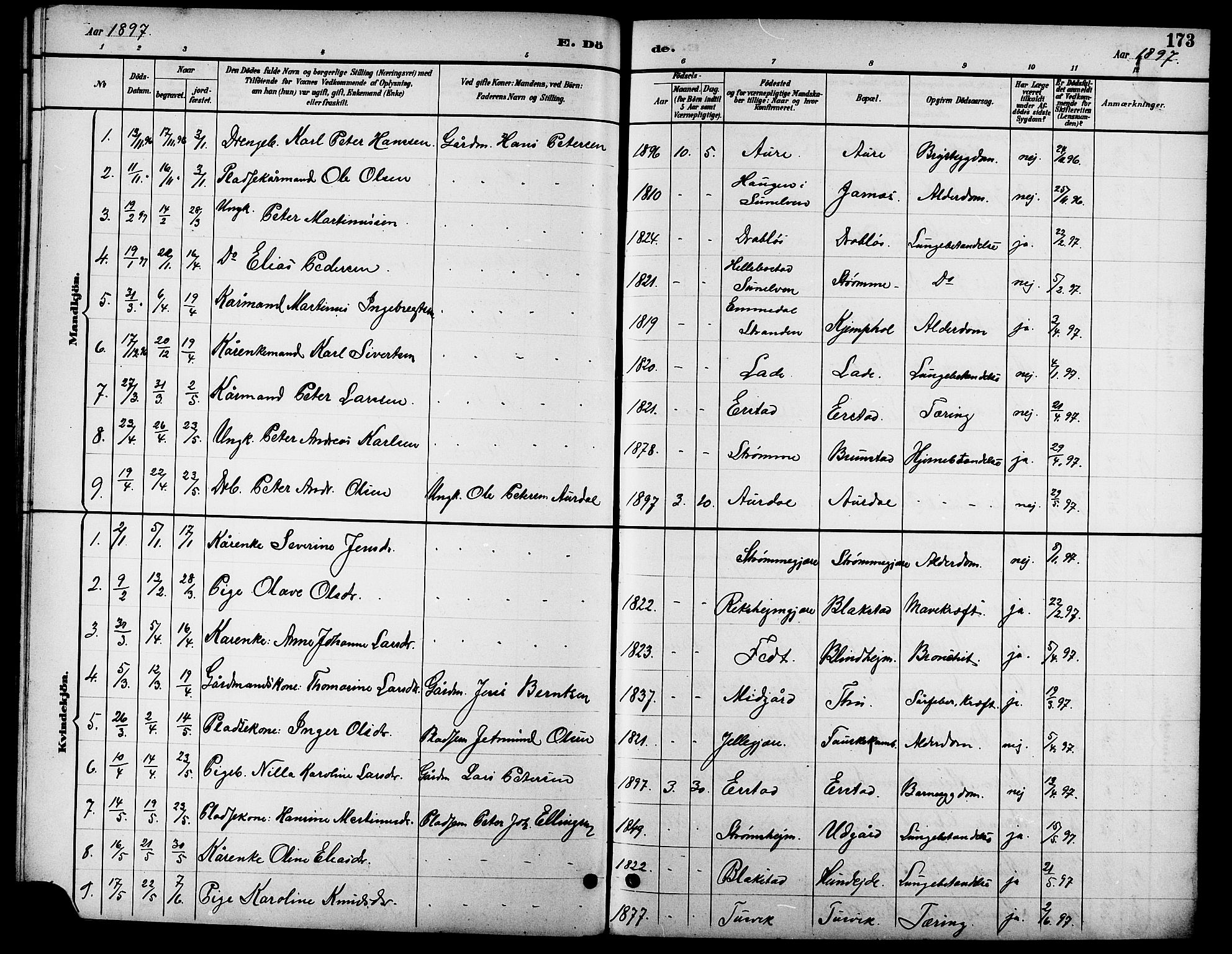 Ministerialprotokoller, klokkerbøker og fødselsregistre - Møre og Romsdal, AV/SAT-A-1454/523/L0340: Parish register (copy) no. 523C03, 1892-1902, p. 173