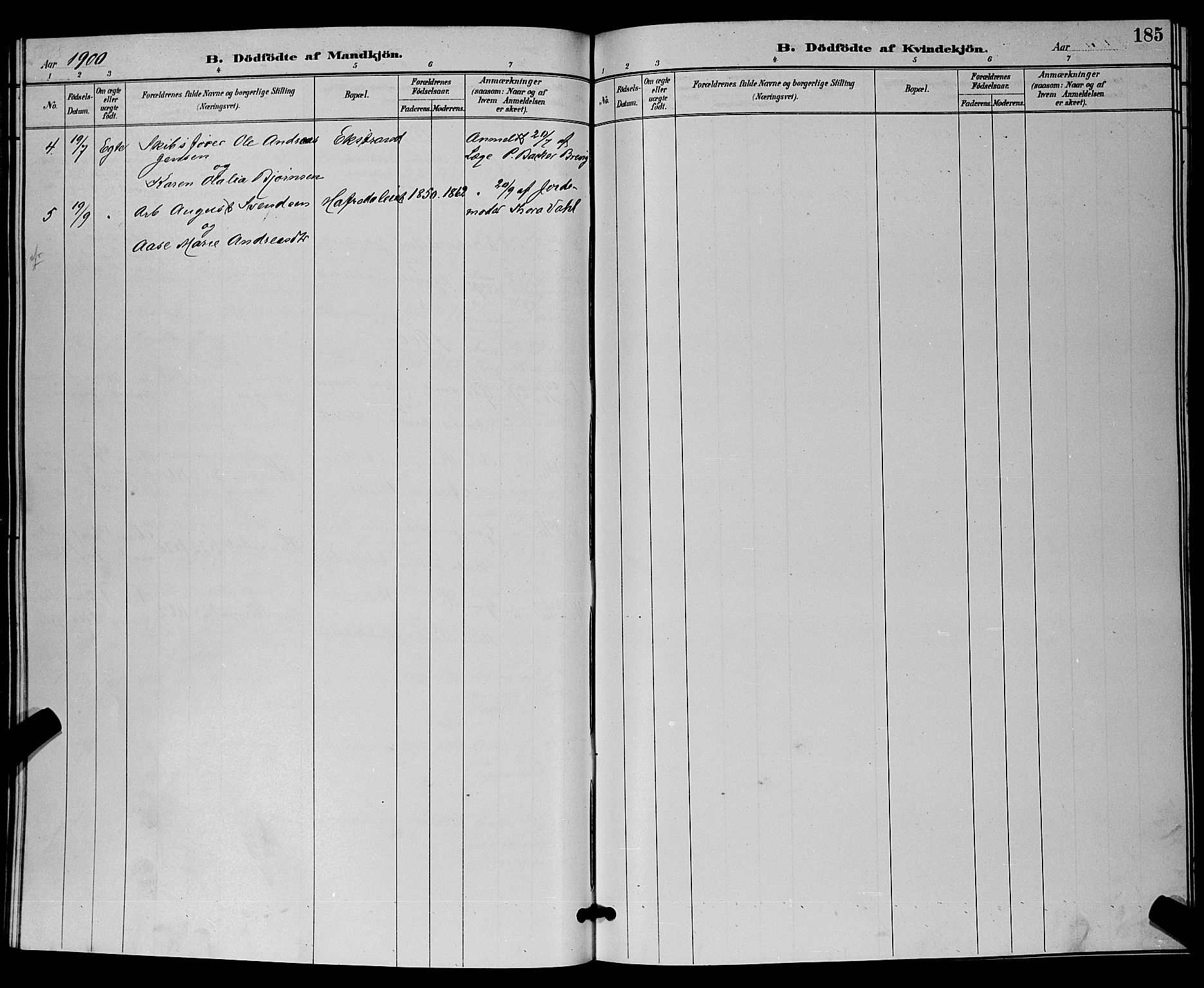 Bamble kirkebøker, SAKO/A-253/G/Ga/L0009: Parish register (copy) no. I 9, 1888-1900, p. 185