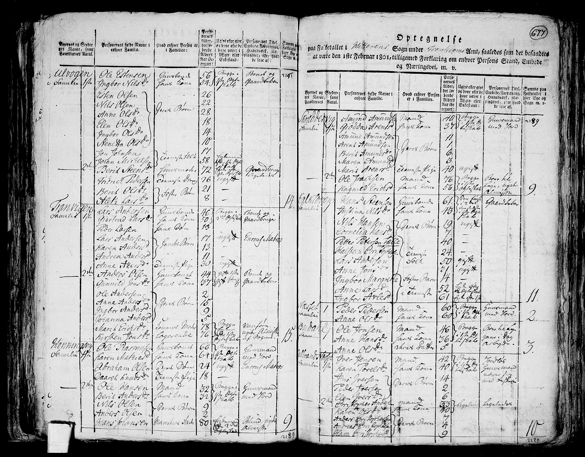 RA, 1801 census for 1617P Hitra, 1801, p. 676b-677a