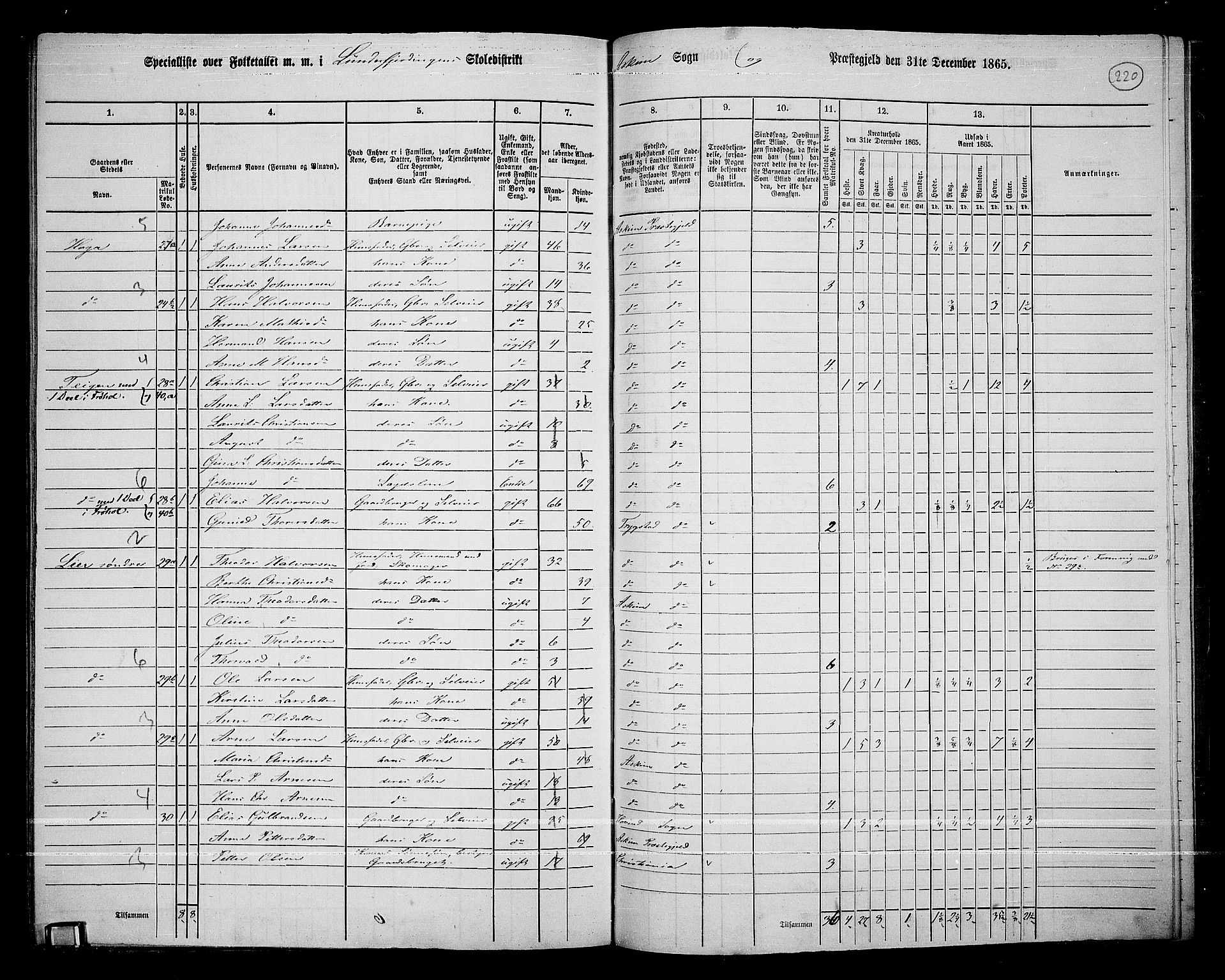 RA, 1865 census for Askim, 1865, p. 77