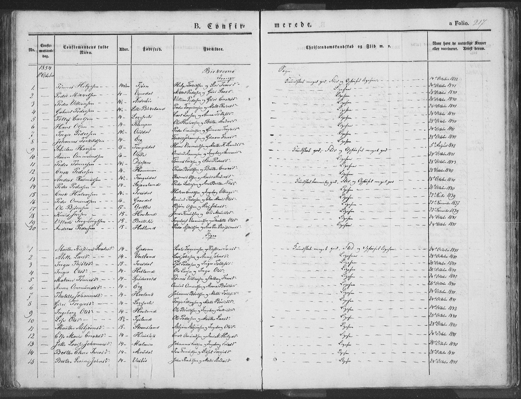 Helleland sokneprestkontor, SAST/A-101810: Parish register (official) no. A 6.1, 1834-1863, p. 217