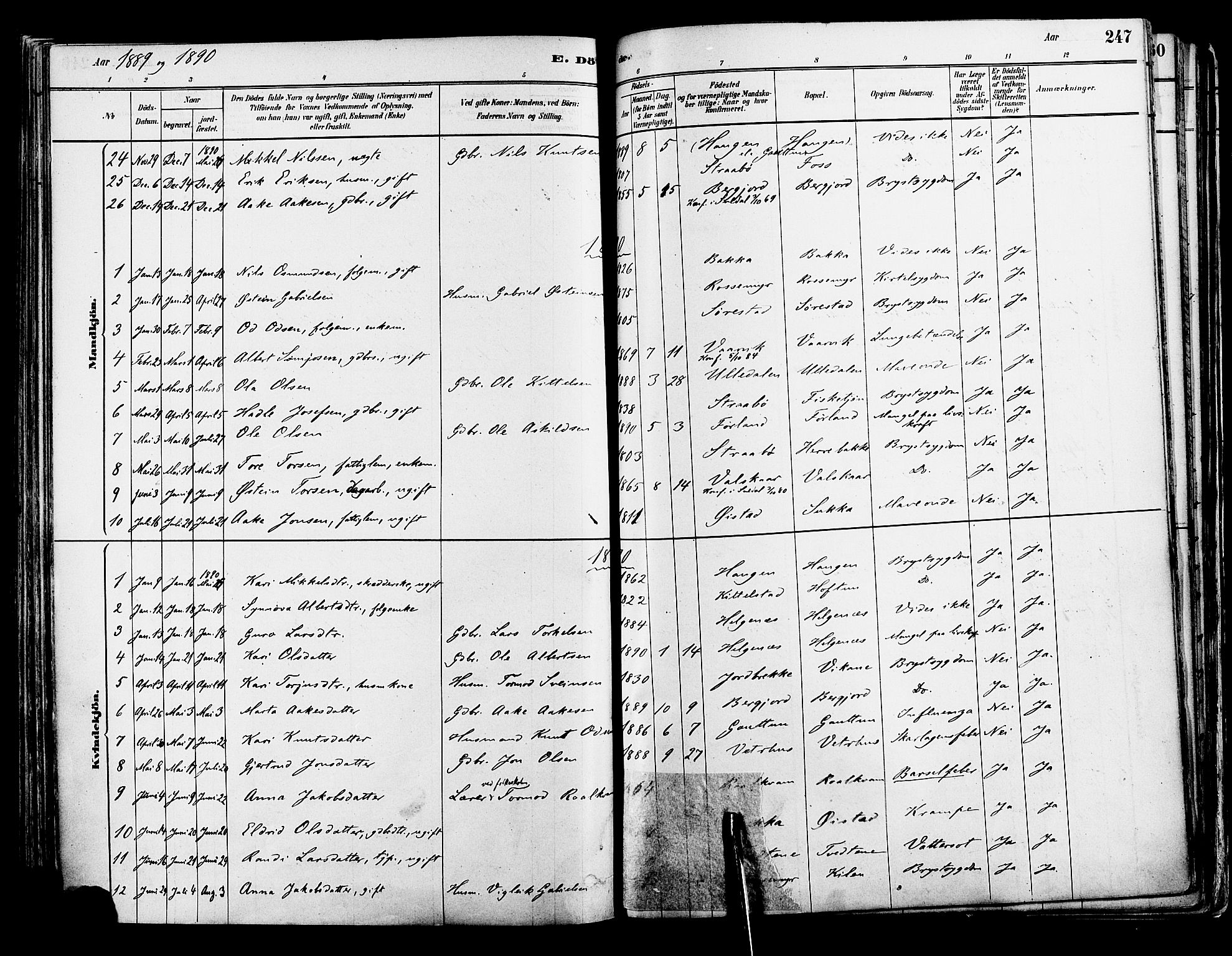 Suldal sokneprestkontor, AV/SAST-A-101845/01/IV/L0011: Parish register (official) no. A 11, 1878-1900, p. 247