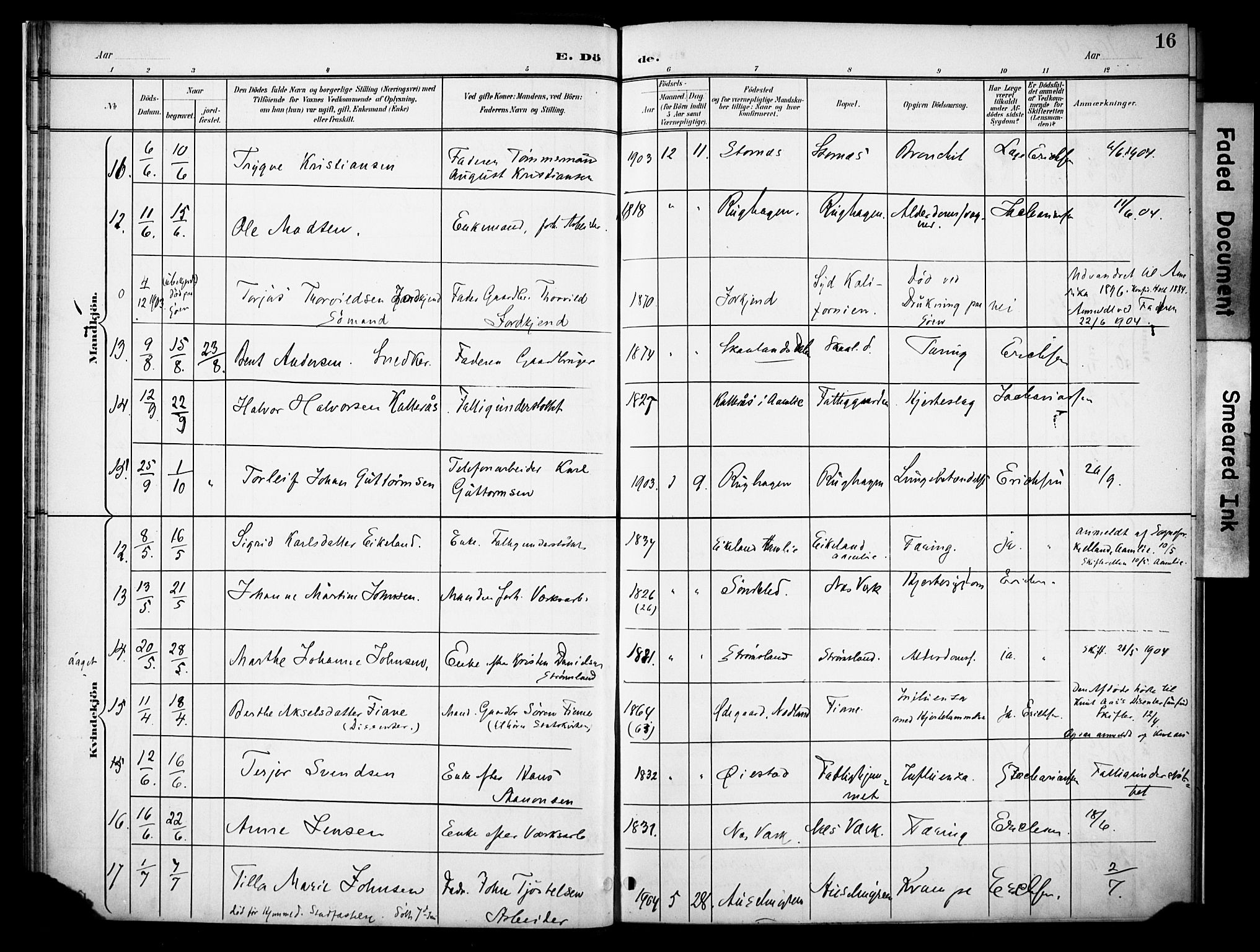 Holt sokneprestkontor, AV/SAK-1111-0021/F/Fa/L0013: Parish register (official) no. A 13, 1900-1912, p. 16