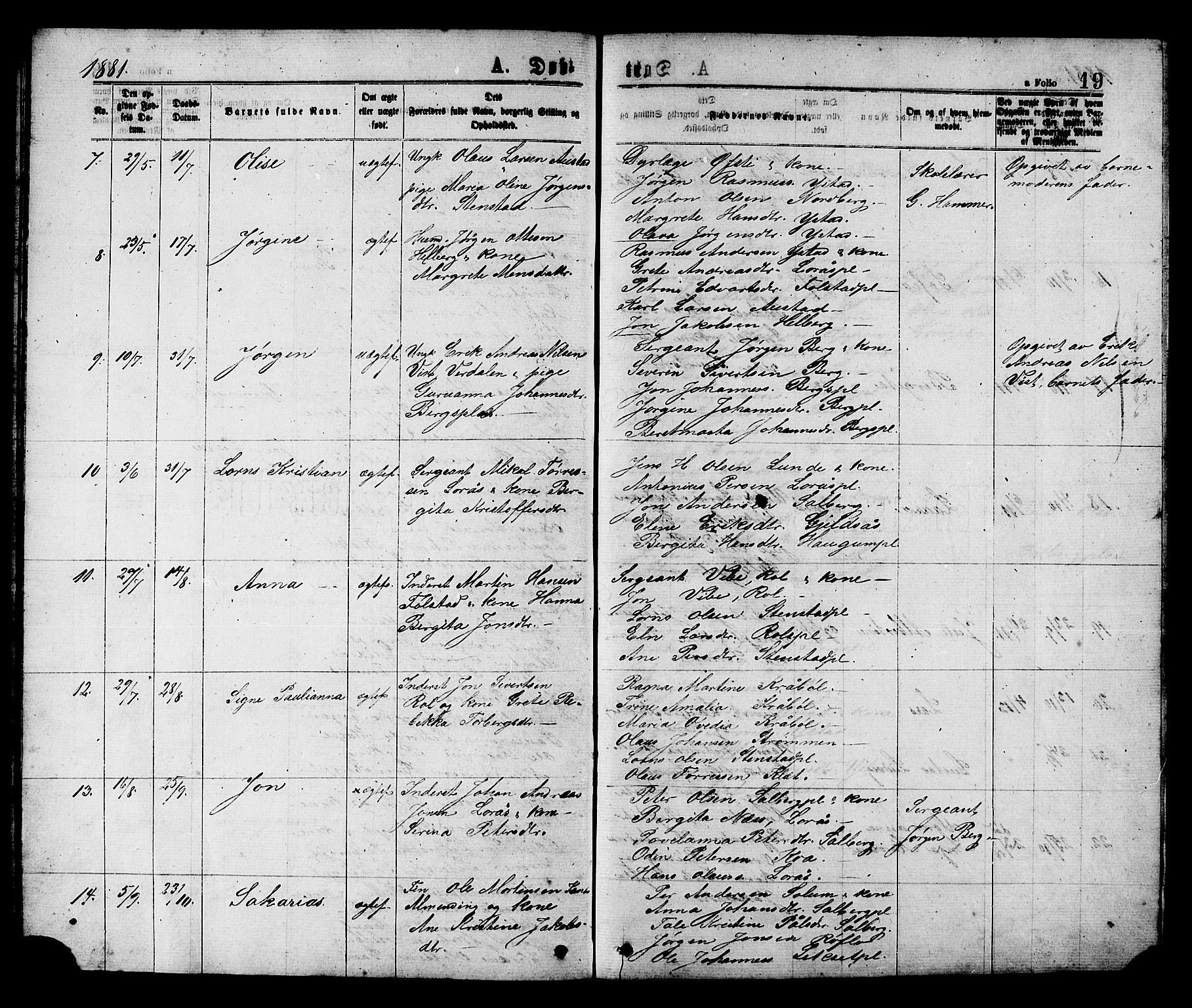 Ministerialprotokoller, klokkerbøker og fødselsregistre - Nord-Trøndelag, SAT/A-1458/731/L0311: Parish register (copy) no. 731C02, 1875-1911, p. 19
