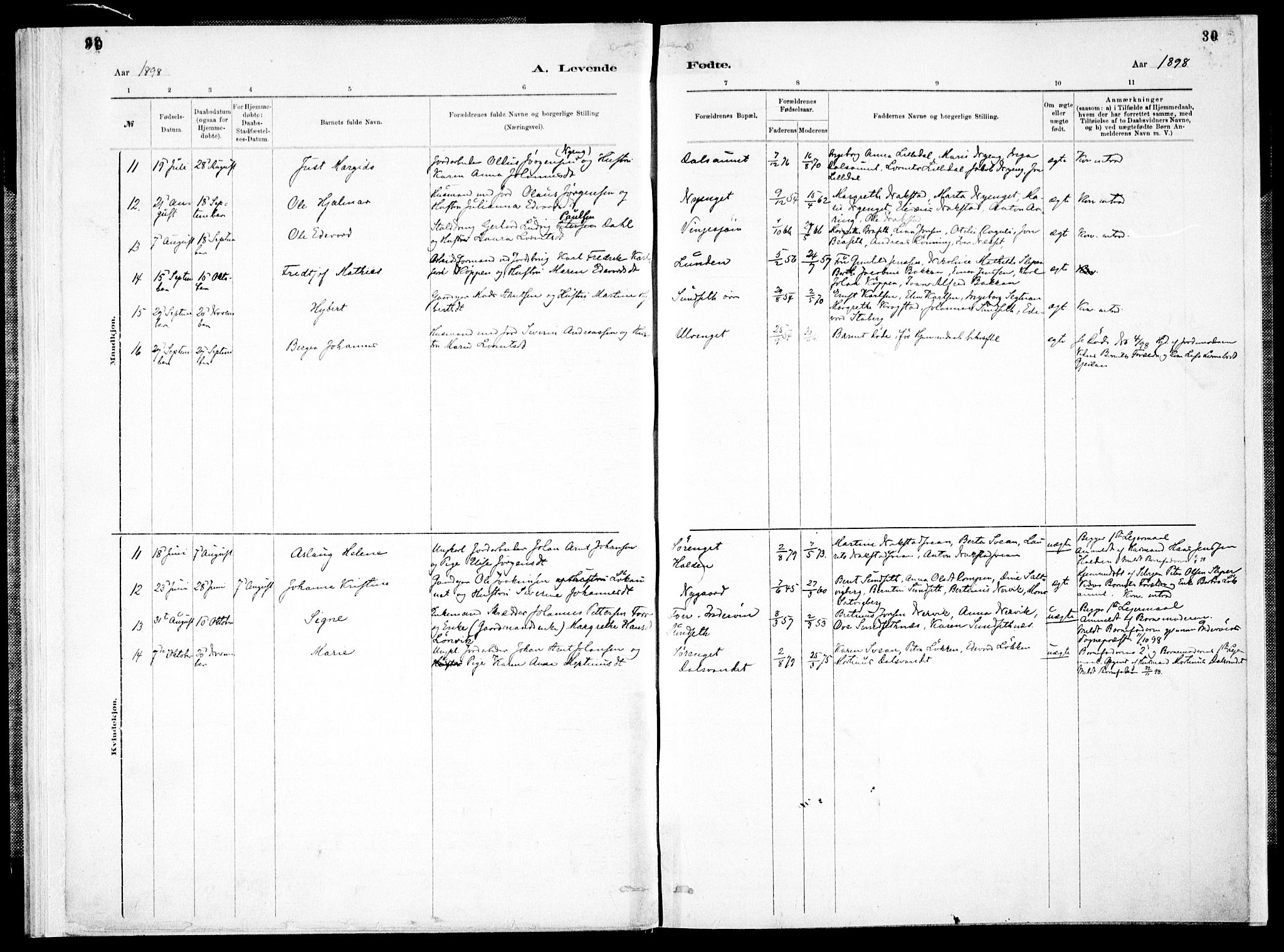 Ministerialprotokoller, klokkerbøker og fødselsregistre - Nord-Trøndelag, SAT/A-1458/733/L0325: Parish register (official) no. 733A04, 1884-1908, p. 30